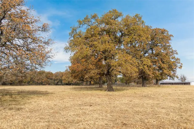 a view of yard covered with snow