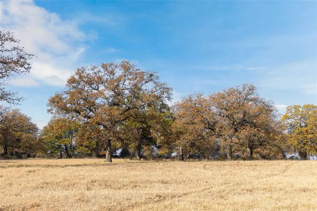 a view of snow on the side of a road
