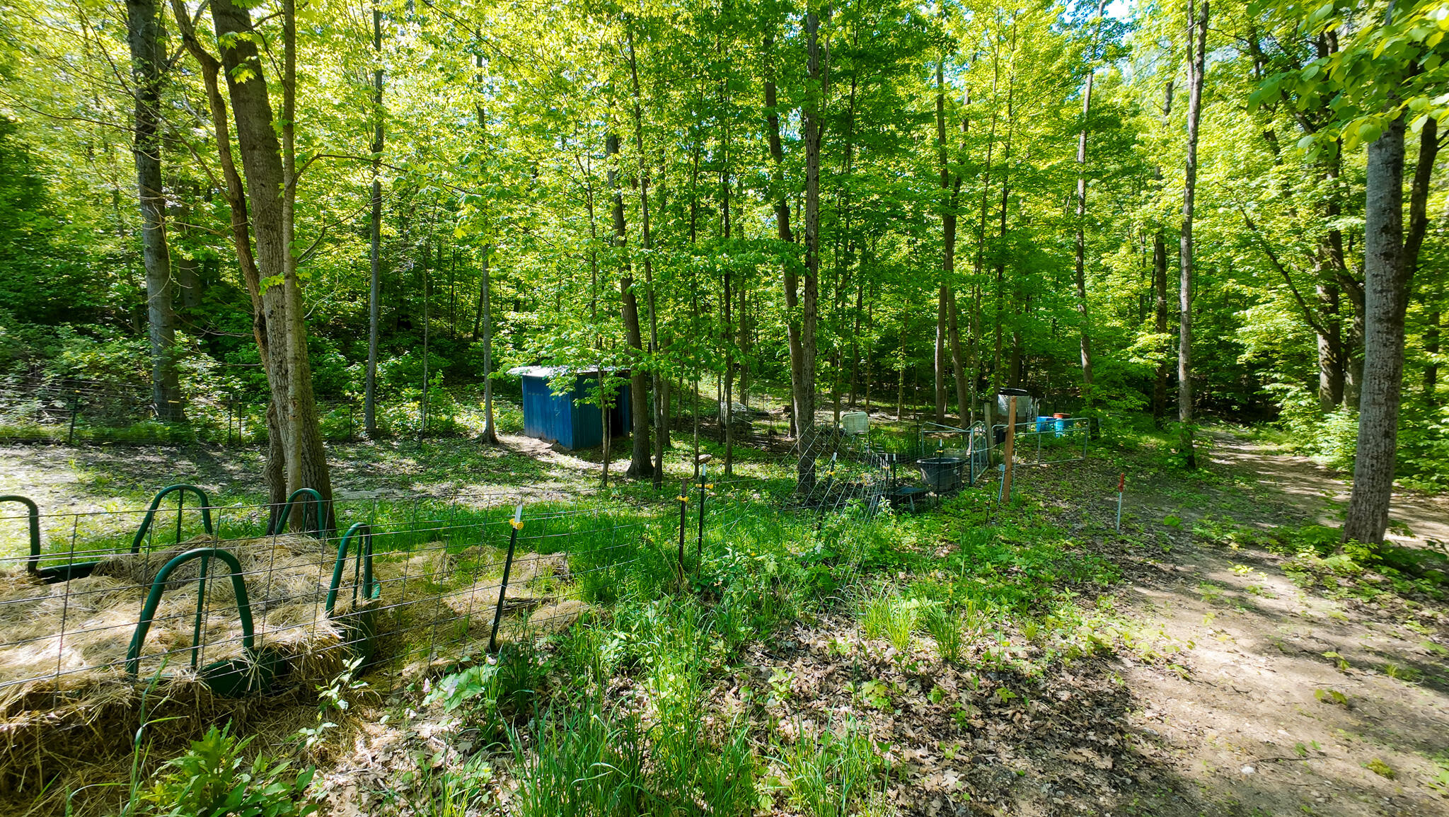 4196 West 4 Mile Road White Cloud, MI 49349 - Photo 37 of 65 DJI_20260527113217_0057_D