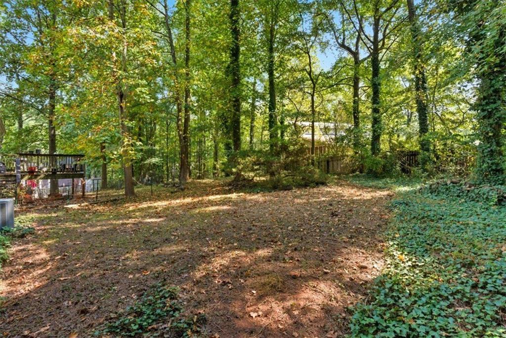 31 Powder Mill Drive Dallas, GA 30157 - Photo 39 of 41 a view of outdoor space and yard