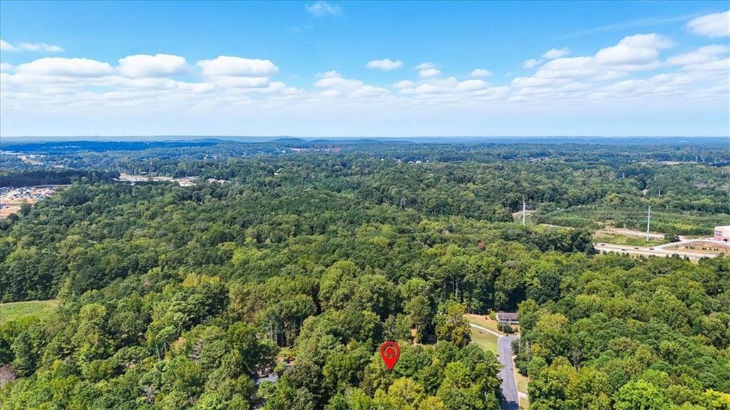 31 Powder Mill Drive Dallas, GA 30157 - Photo 5 of 41 a view of a city with lush green forest