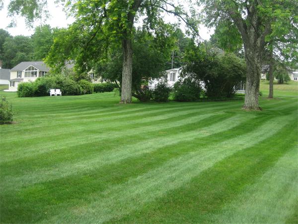 135 Oak Hollow Road Springfield, MA 01128 - Photo 2 of 22