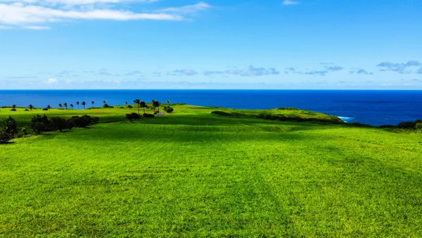 a view of an ocean and yard
