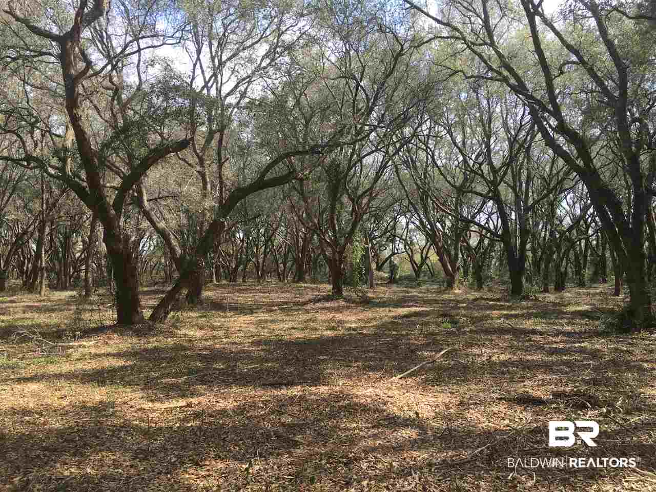 9690 Sherman Road Foley, AL 36535 - Photo 2 of 19