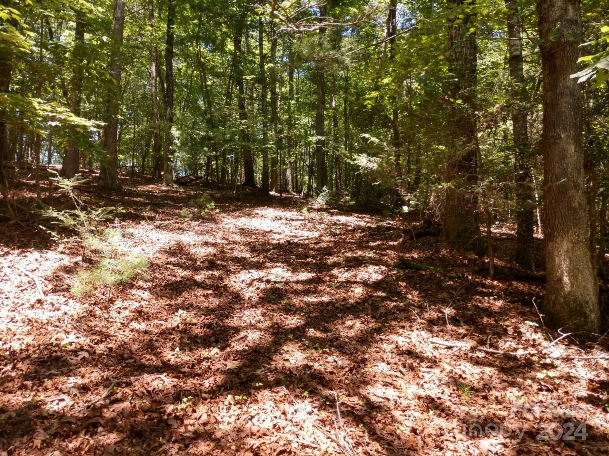 0 James View Road, Unit 1 Marion, NC 28752 - Photo 12 of 33 Gallery Image 12