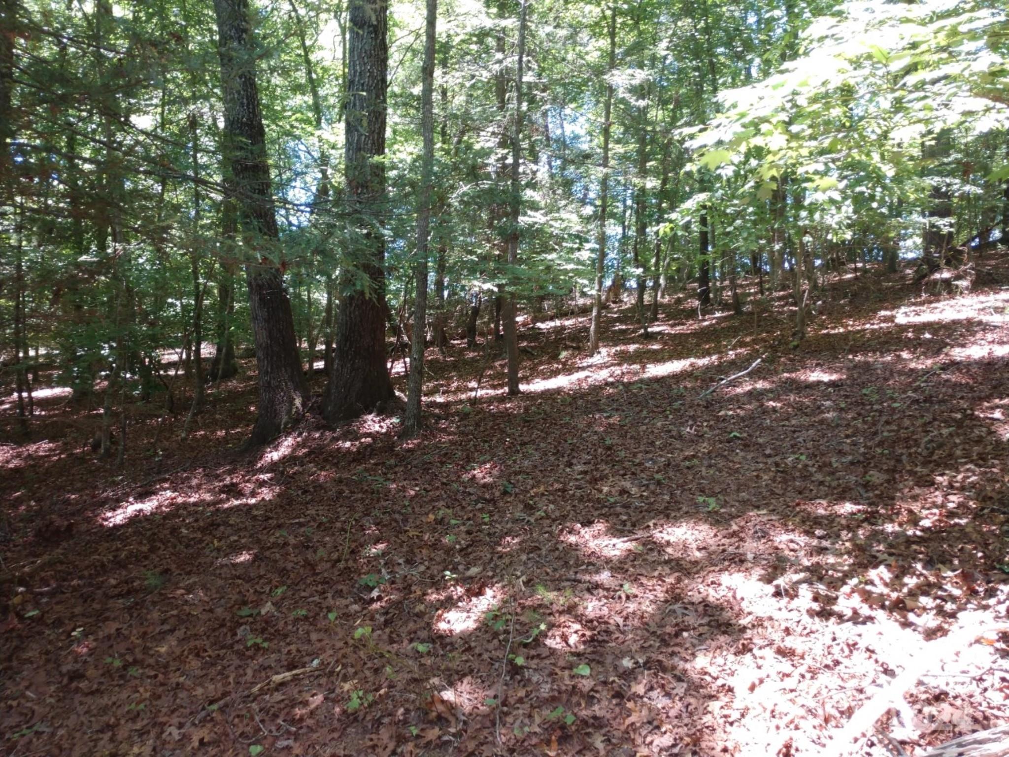 0 James View Road, Unit 1 Marion, NC 28752 - Photo 15 of 33 Gallery Image 15