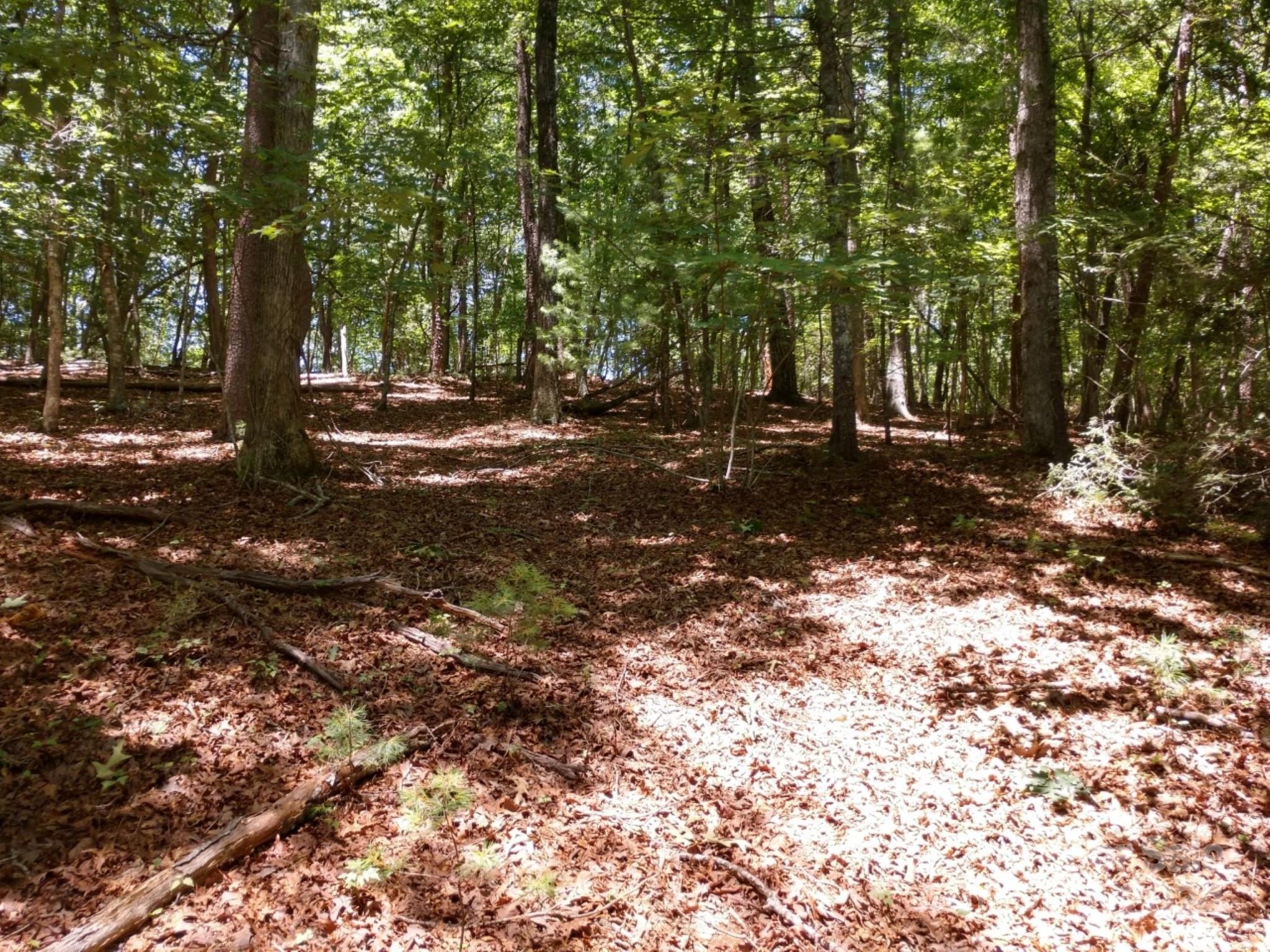 0 James View Road, Unit 1 Marion, NC 28752 - Photo 17 of 33 Gallery Image 17