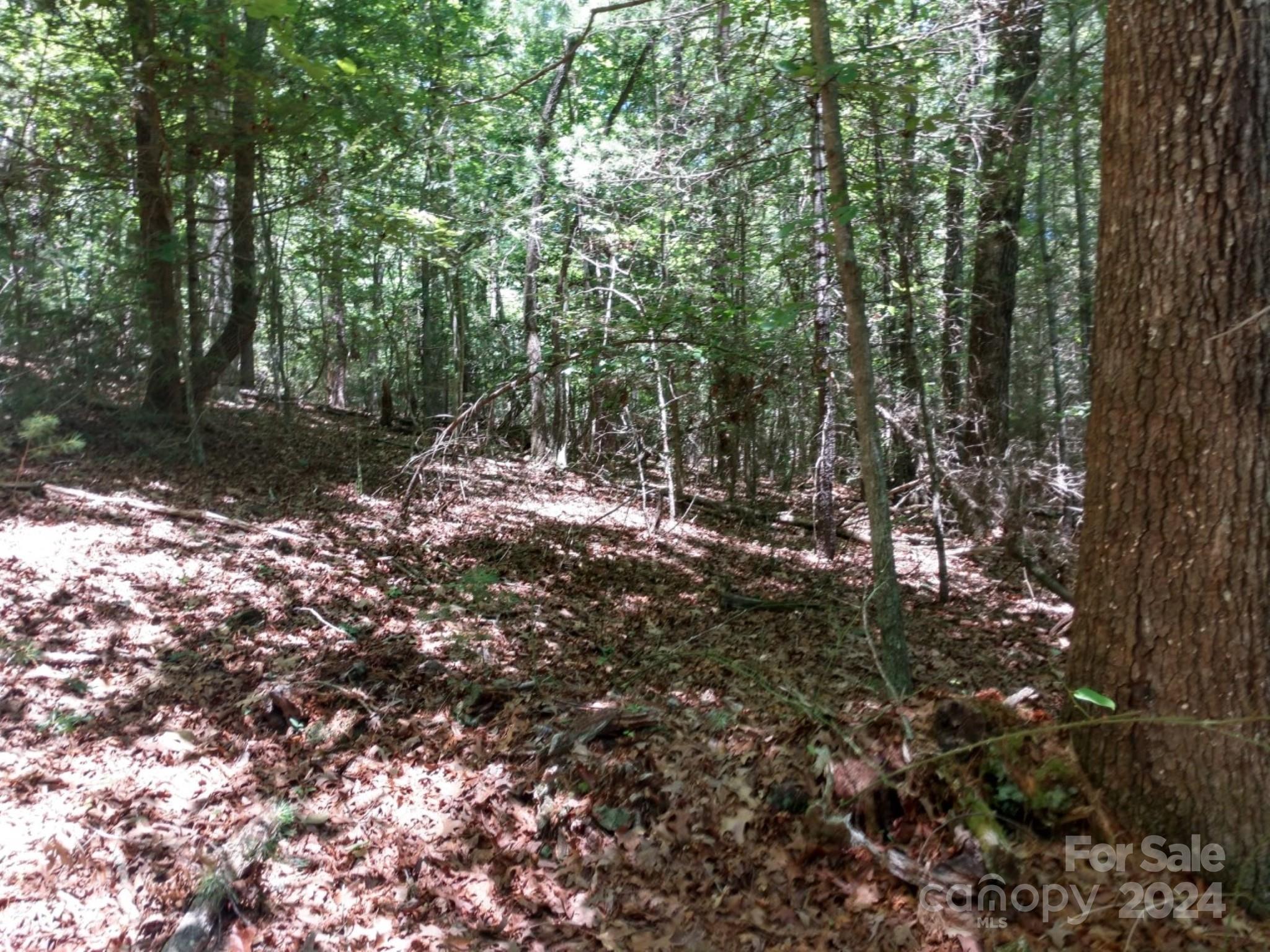 0 James View Road, Unit 1 Marion, NC 28752 - Photo 20 of 33 Gallery Image 20