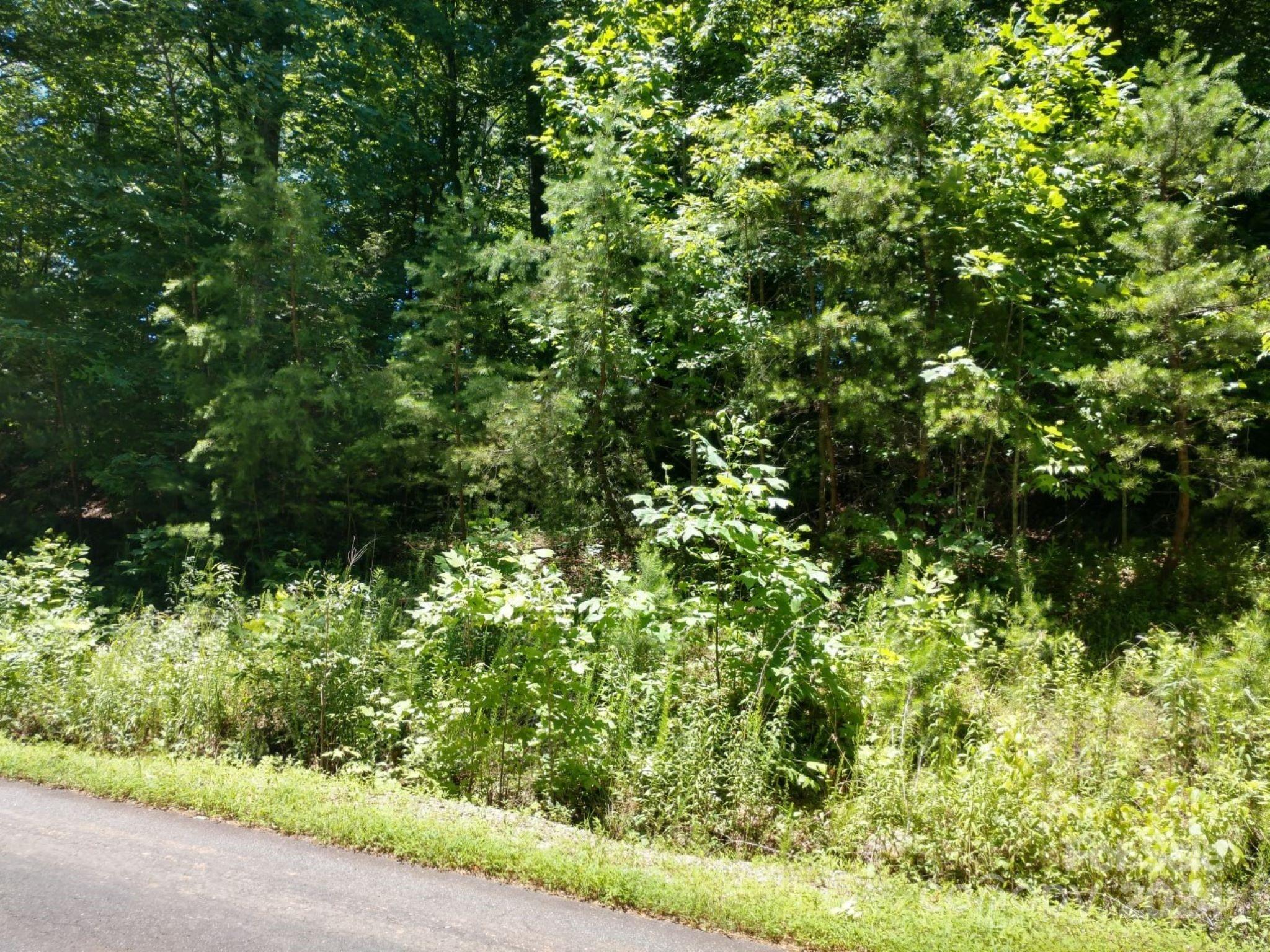 0 James View Road, Unit 1 Marion, NC 28752 - Photo 2 of 33 Gallery Image 2