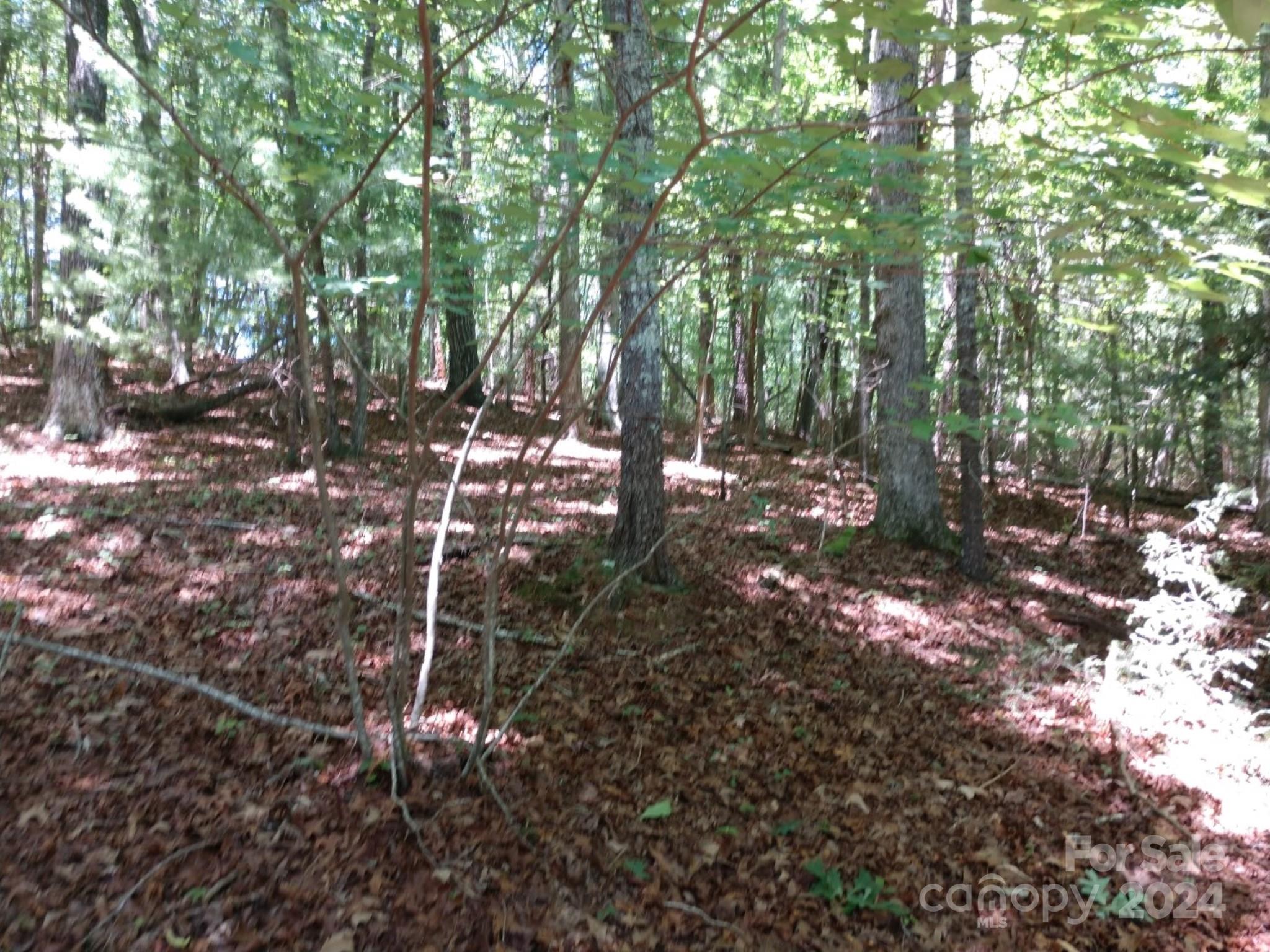 0 James View Road, Unit 1 Marion, NC 28752 - Photo 23 of 33 Gallery Image 23