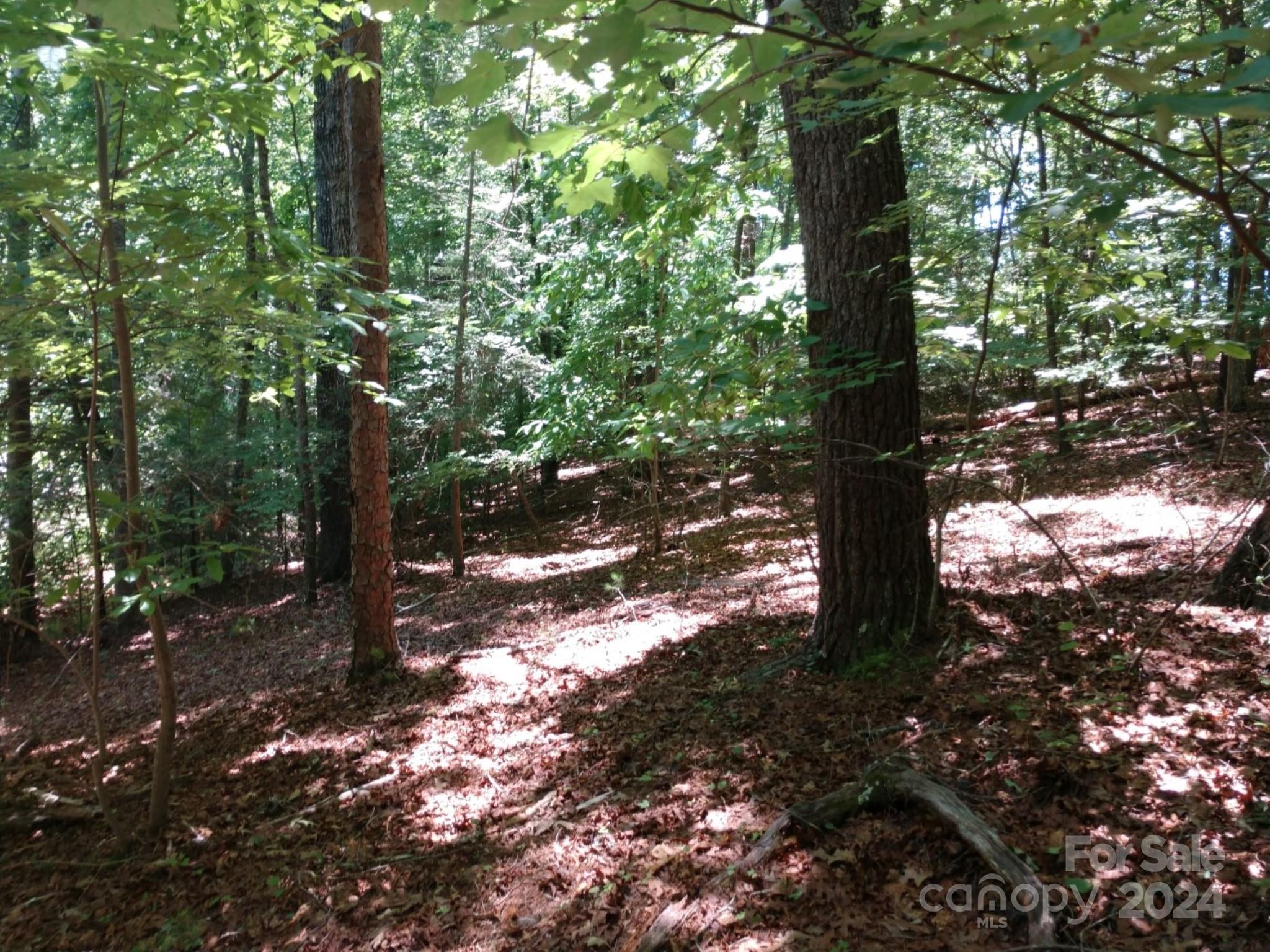 0 James View Road, Unit 1 Marion, NC 28752 - Photo 25 of 33 Gallery Image 25