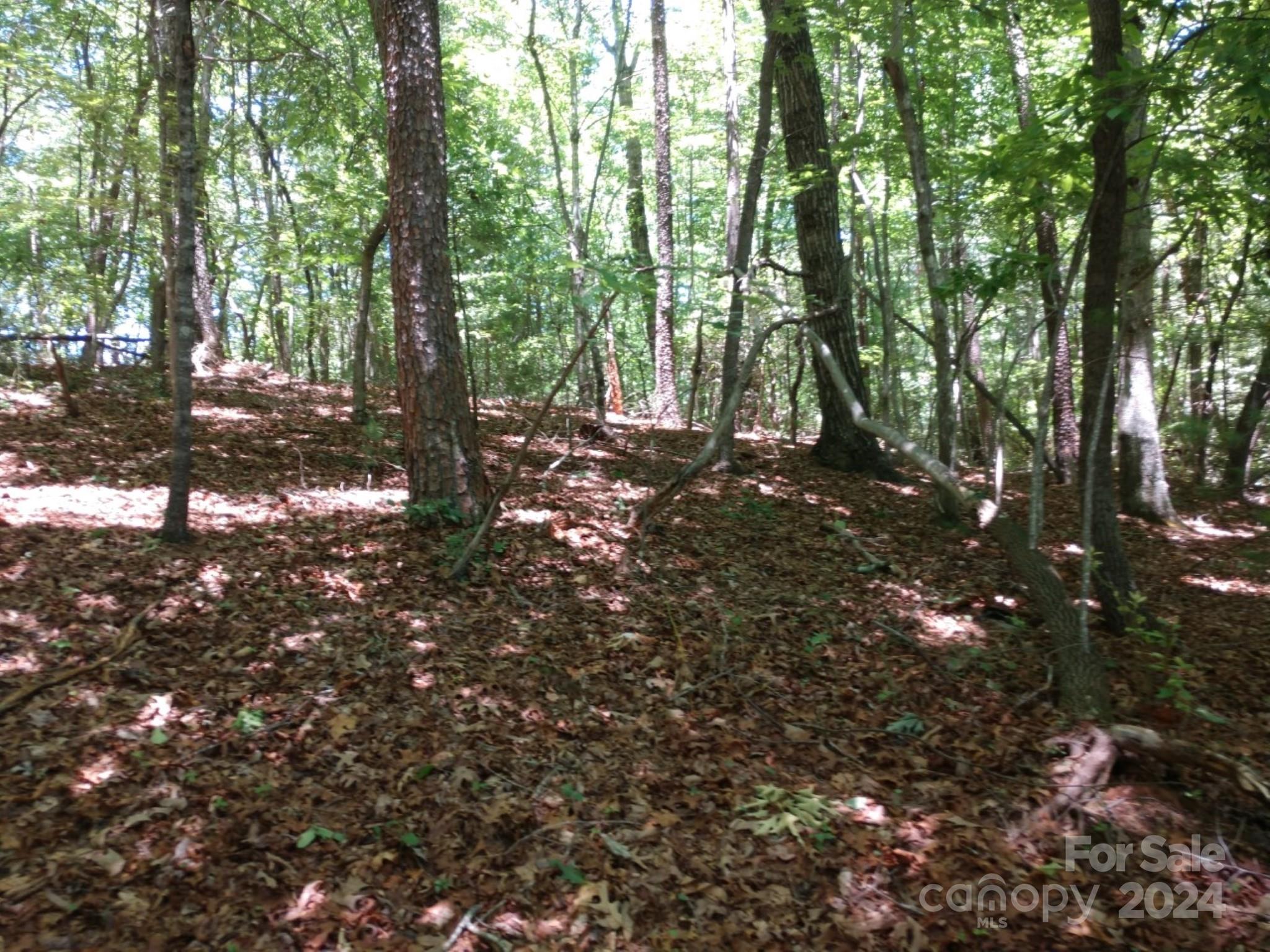 0 James View Road, Unit 1 Marion, NC 28752 - Photo 26 of 33 Gallery Image 26