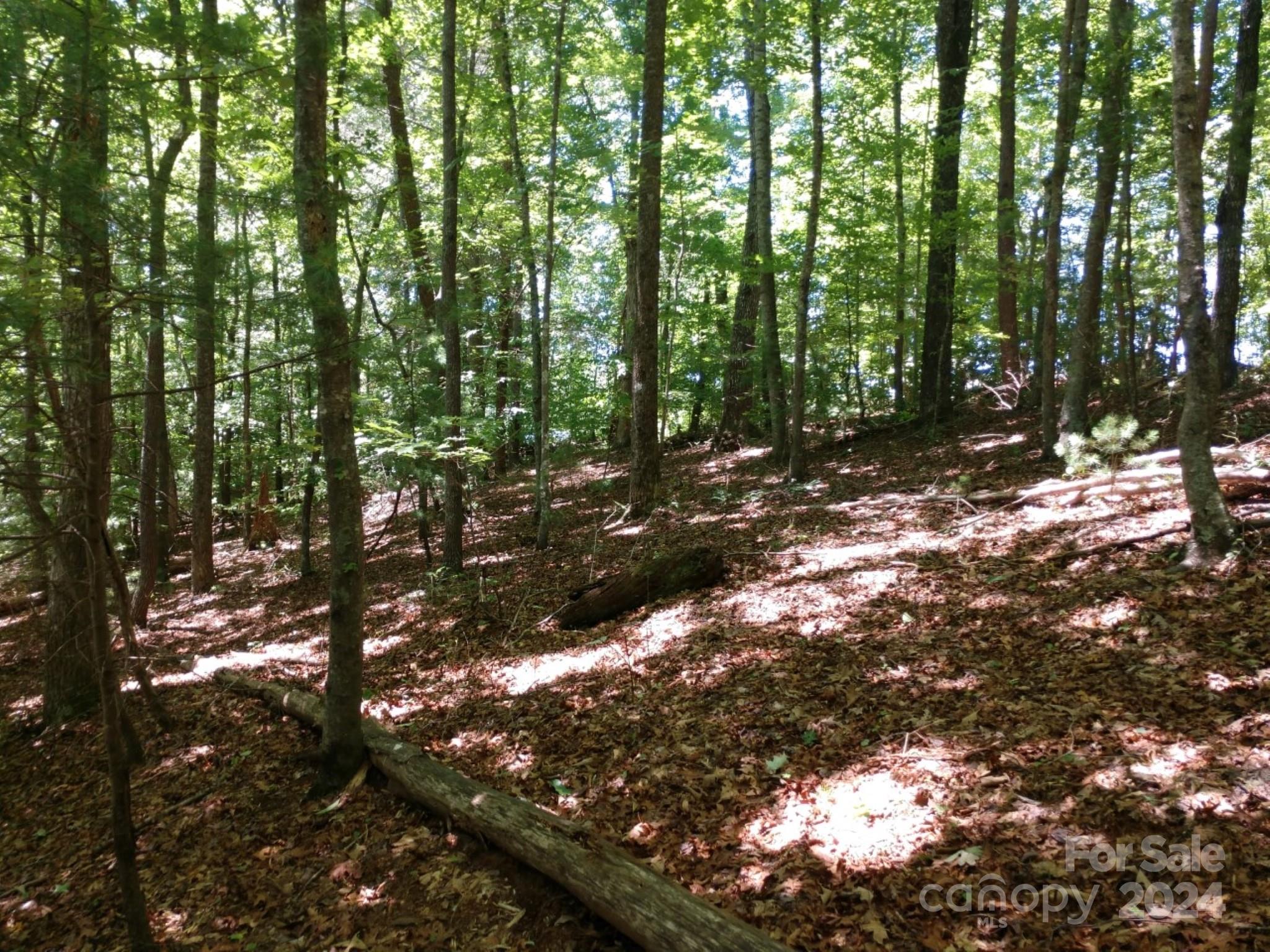 0 James View Road, Unit 1 Marion, NC 28752 - Photo 27 of 33 Gallery Image 27