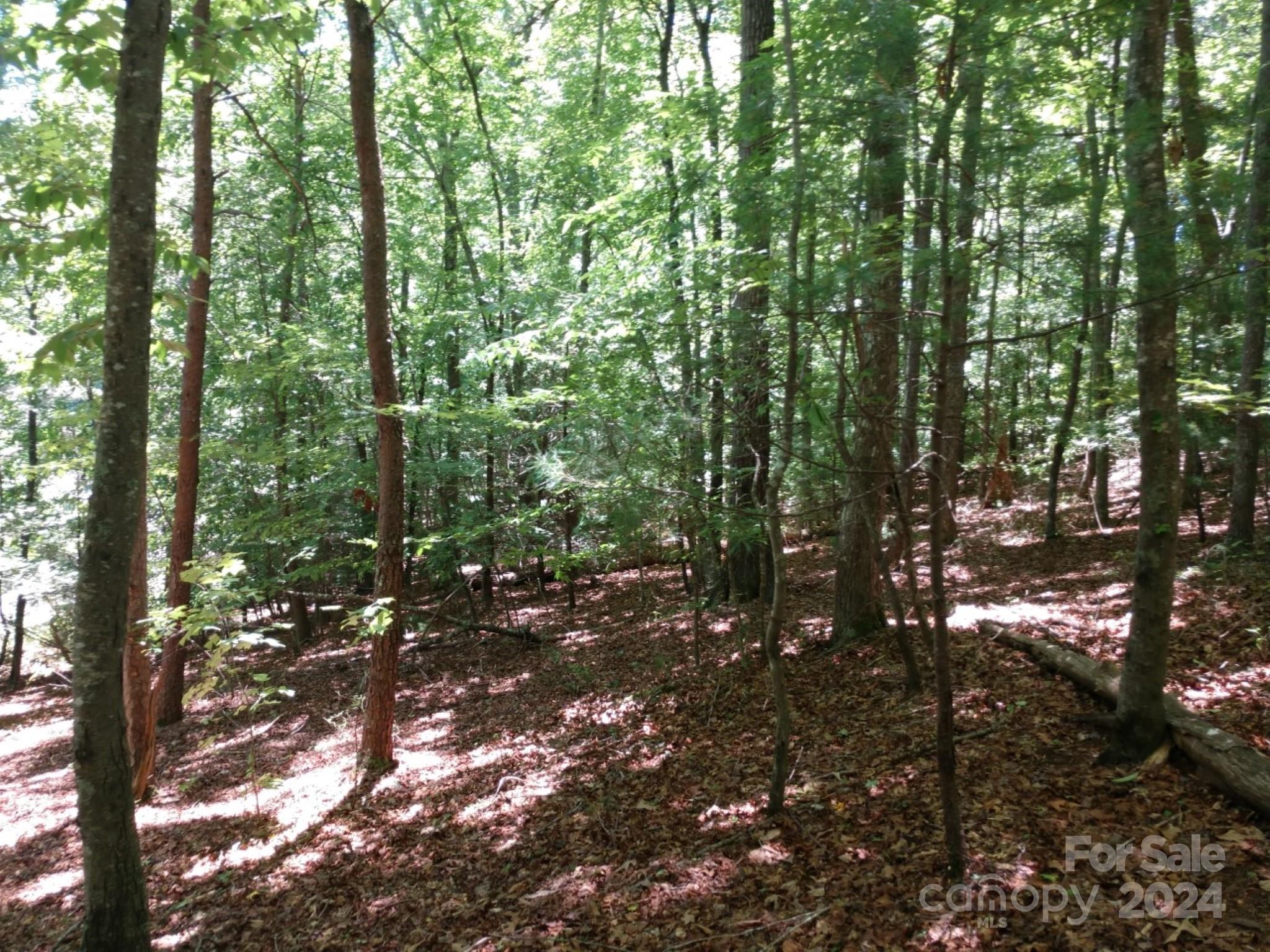 0 James View Road, Unit 1 Marion, NC 28752 - Photo 29 of 33 Gallery Image 29