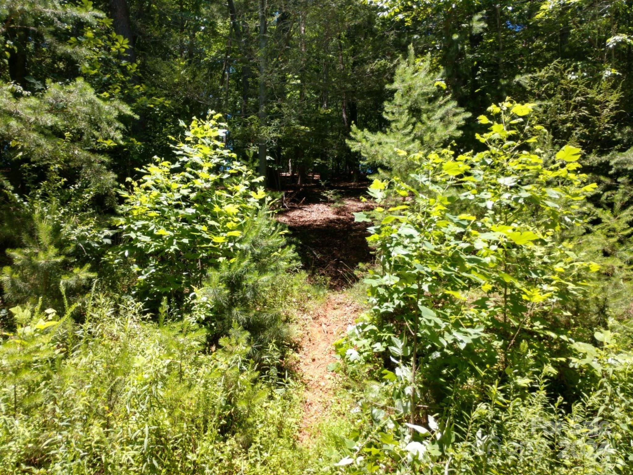 0 James View Road, Unit 1 Marion, NC 28752 - Photo 3 of 33 Gallery Image 3