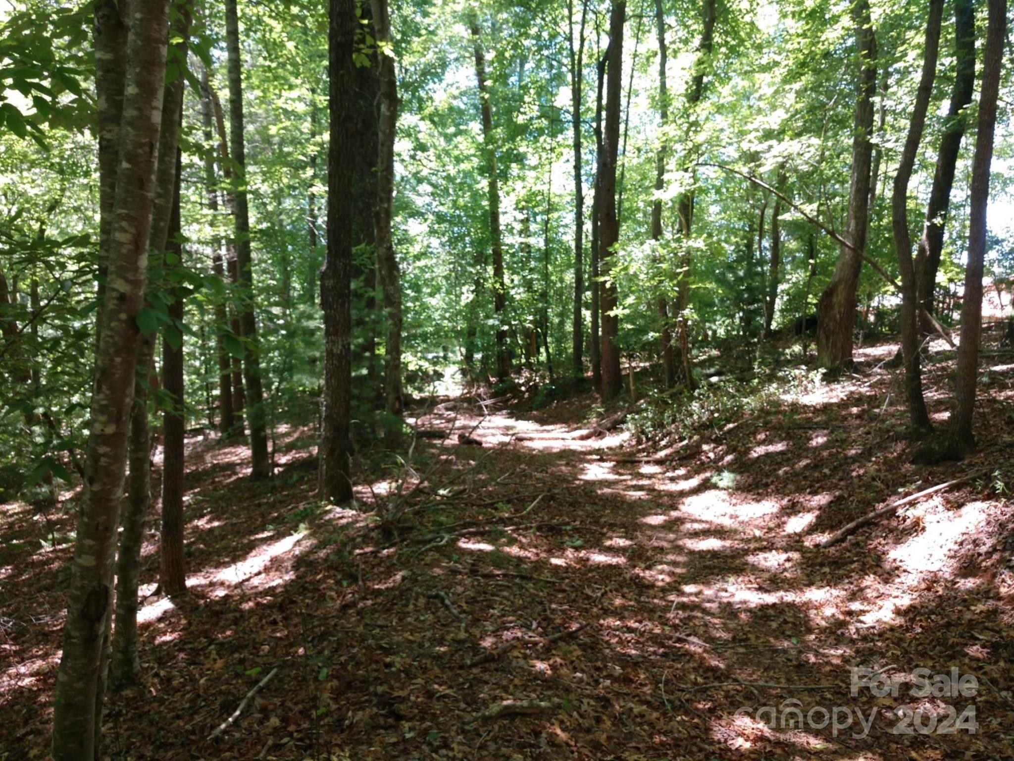 0 James View Road, Unit 1 Marion, NC 28752 - Photo 31 of 33 Gallery Image 31