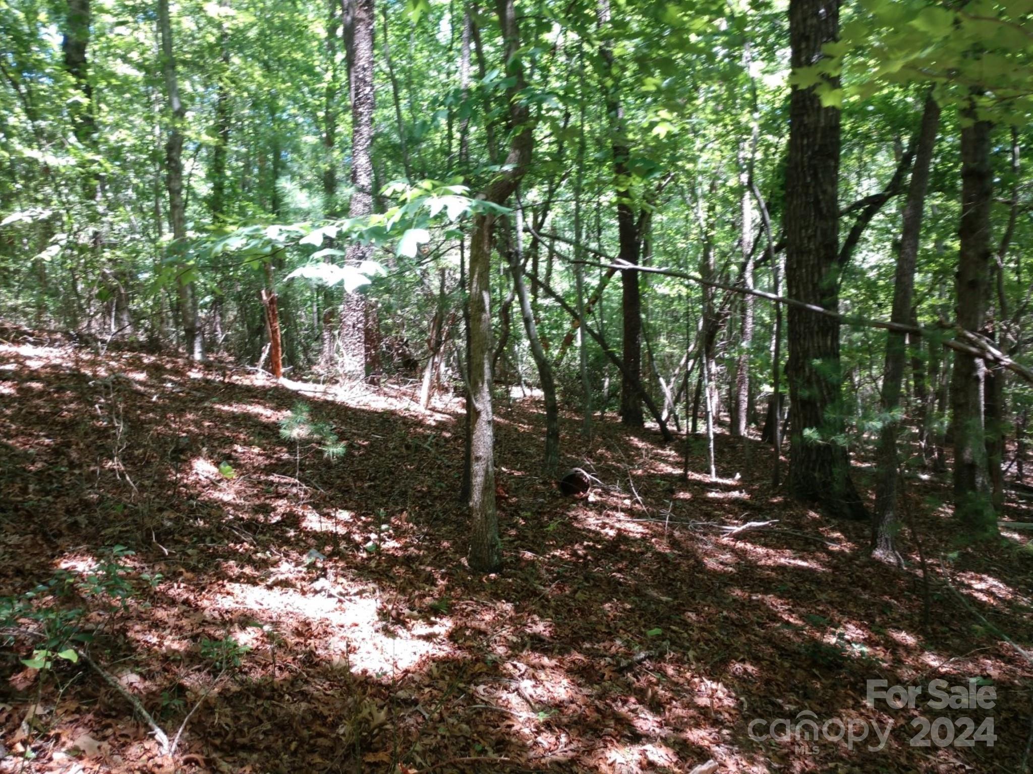 0 James View Road, Unit 1 Marion, NC 28752 - Photo 33 of 33 Gallery Image 33
