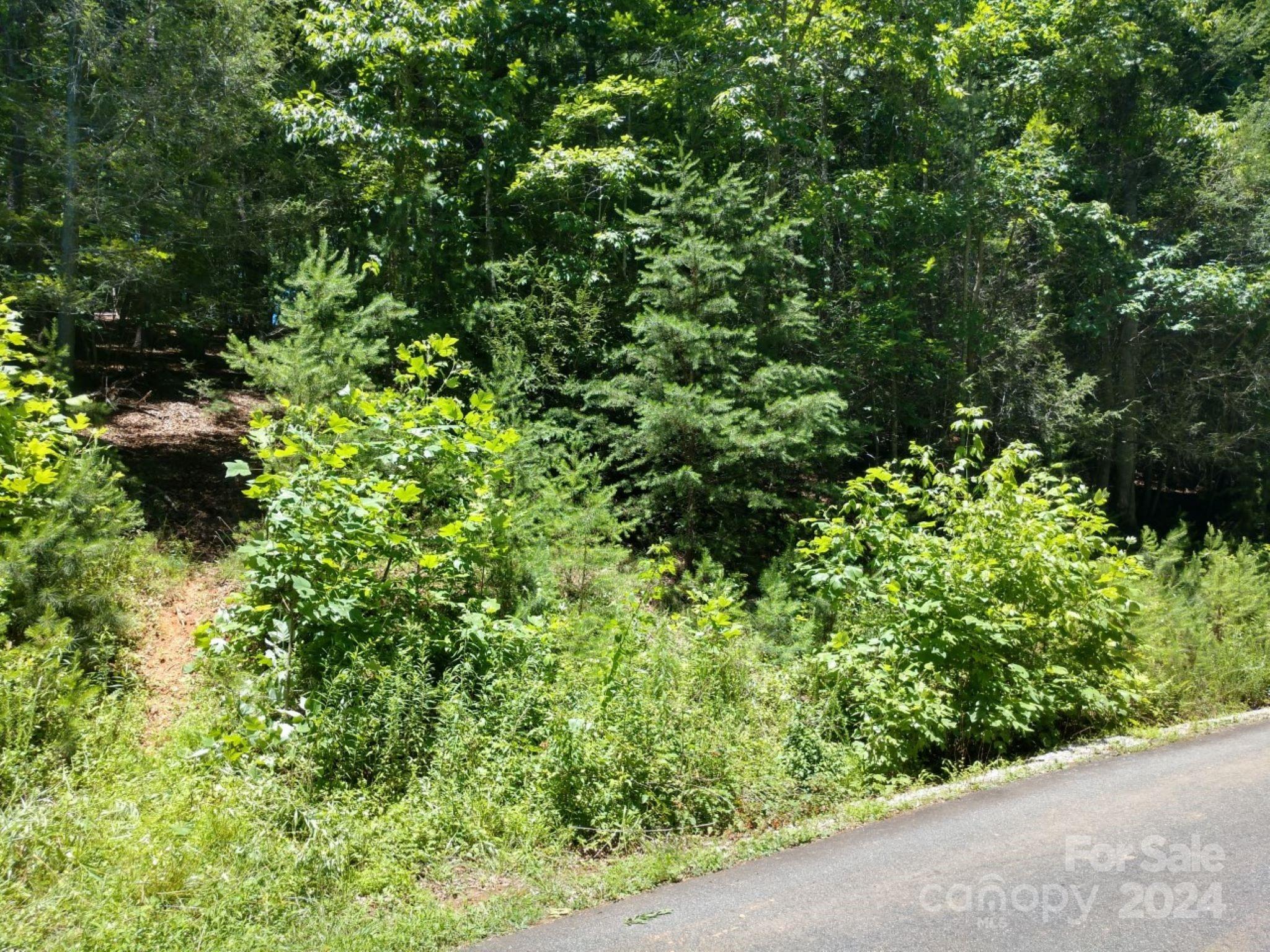 0 James View Road, Unit 1 Marion, NC 28752 - Photo 4 of 33 Gallery Image 4