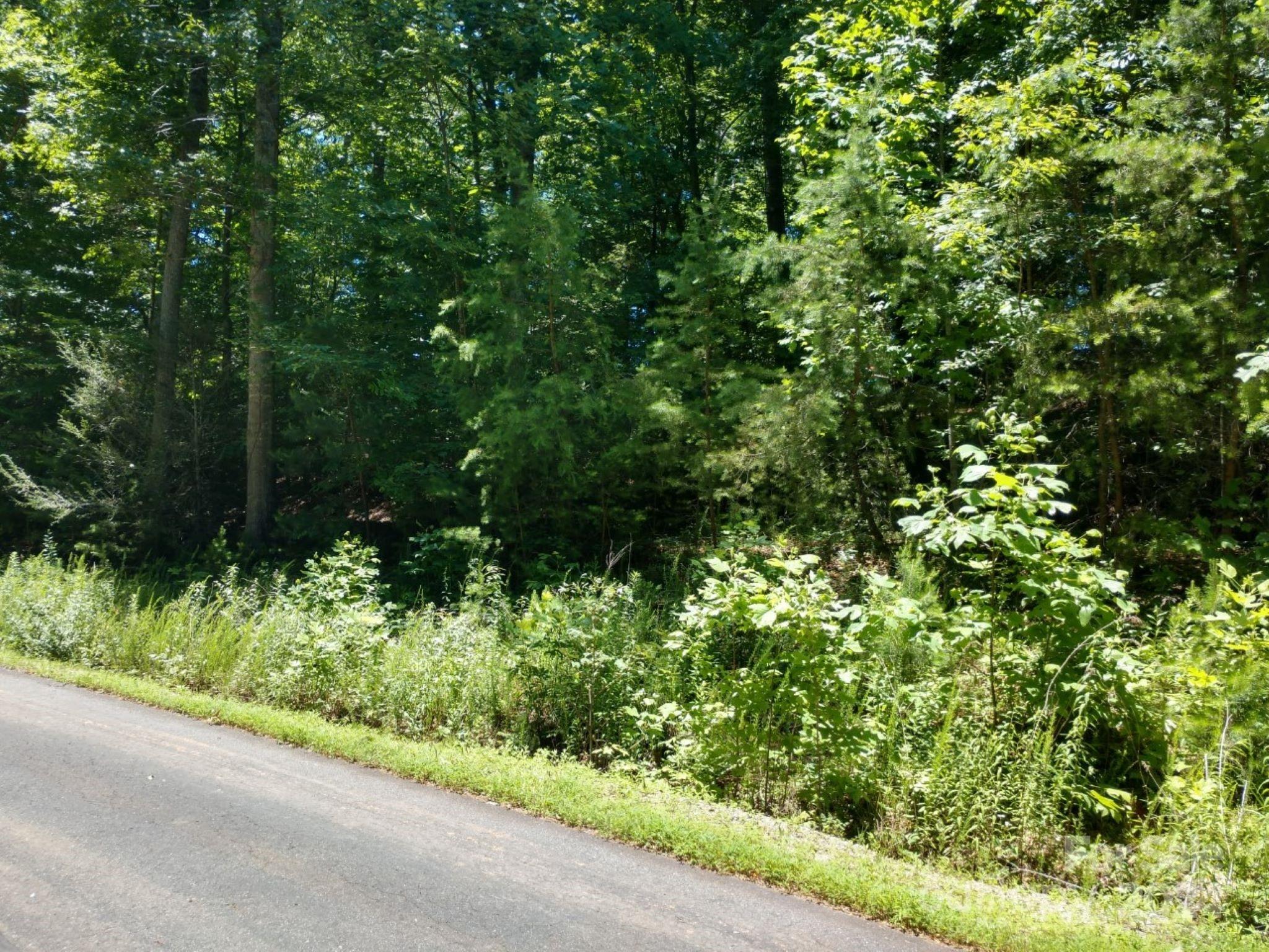 0 James View Road, Unit 1 Marion, NC 28752 - Photo 5 of 33 Gallery Image 5
