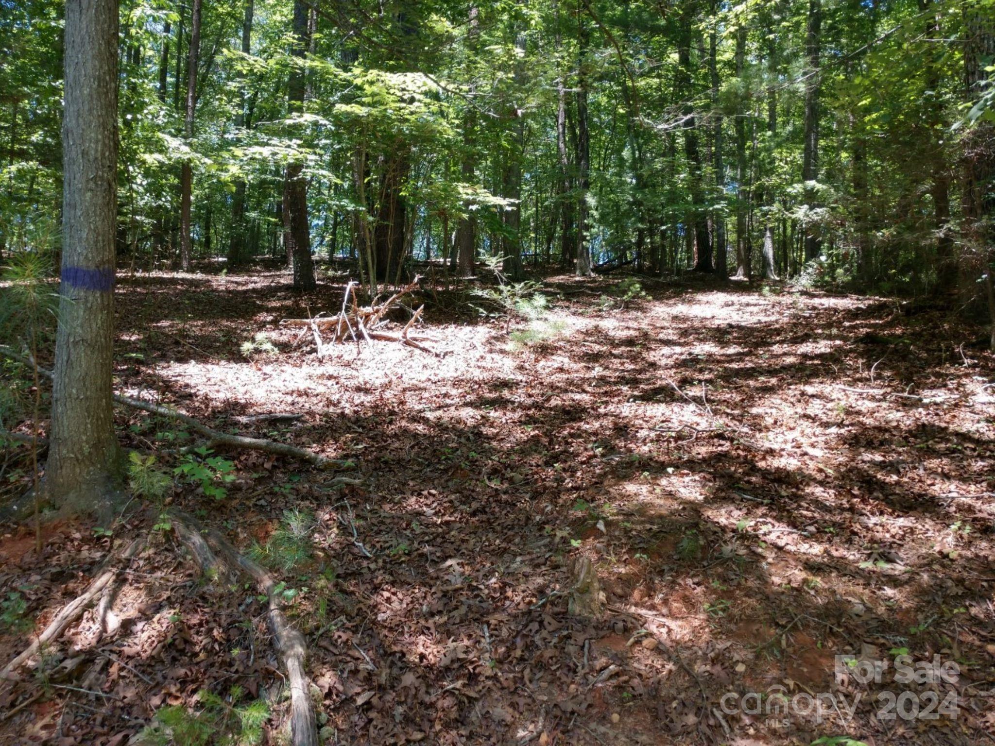 0 James View Road, Unit 1 Marion, NC 28752 - Photo 6 of 33 Gallery Image 6