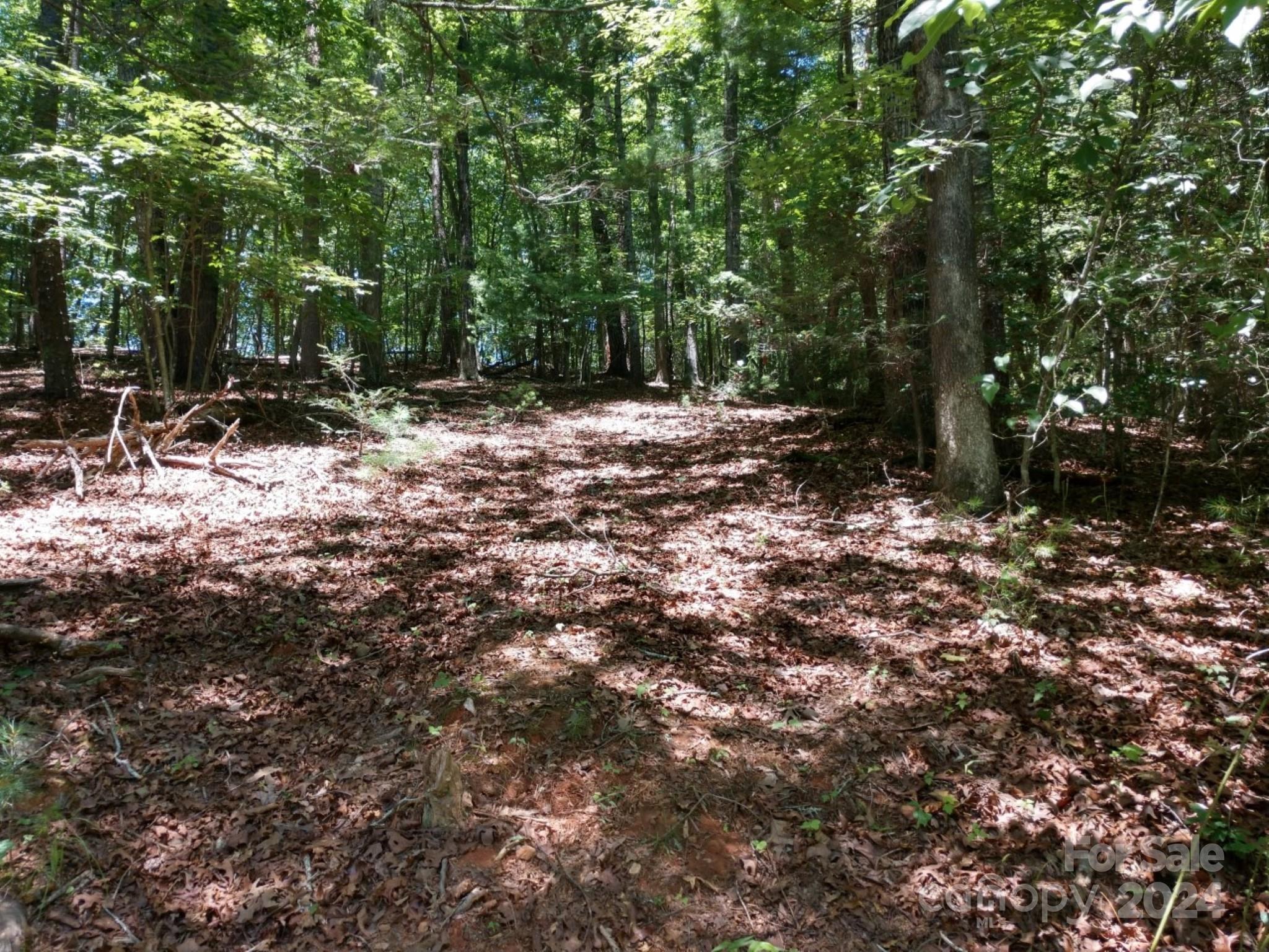 0 James View Road, Unit 1 Marion, NC 28752 - Photo 7 of 33 Gallery Image 7