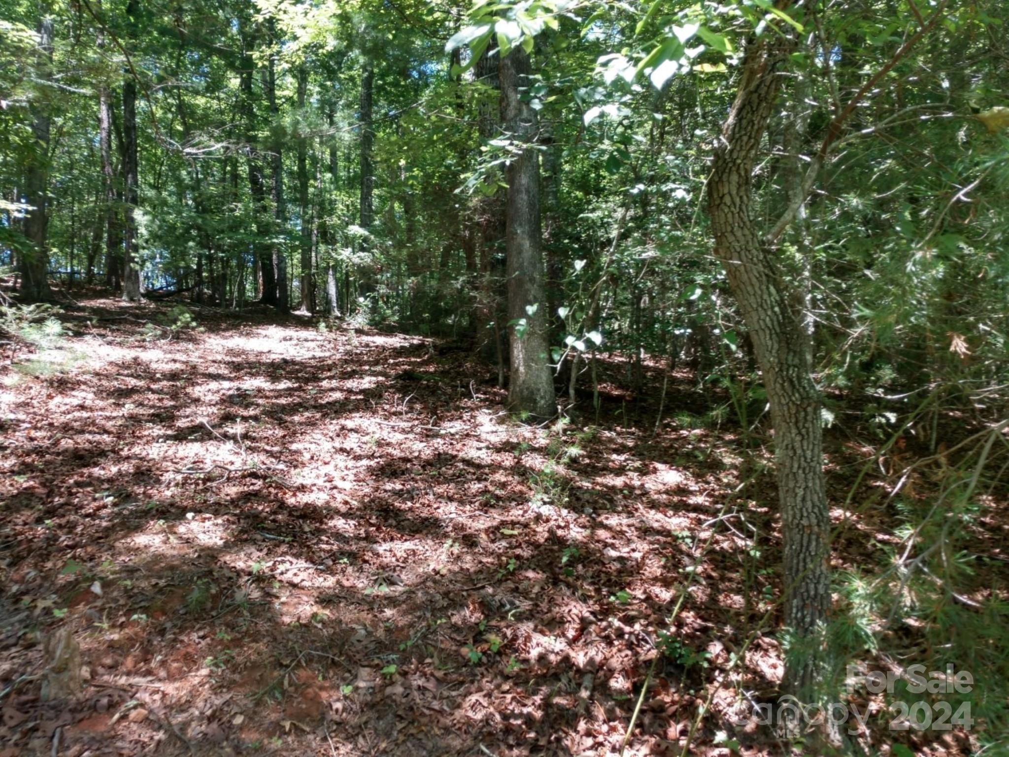 0 James View Road, Unit 1 Marion, NC 28752 - Photo 8 of 33 Gallery Image 8
