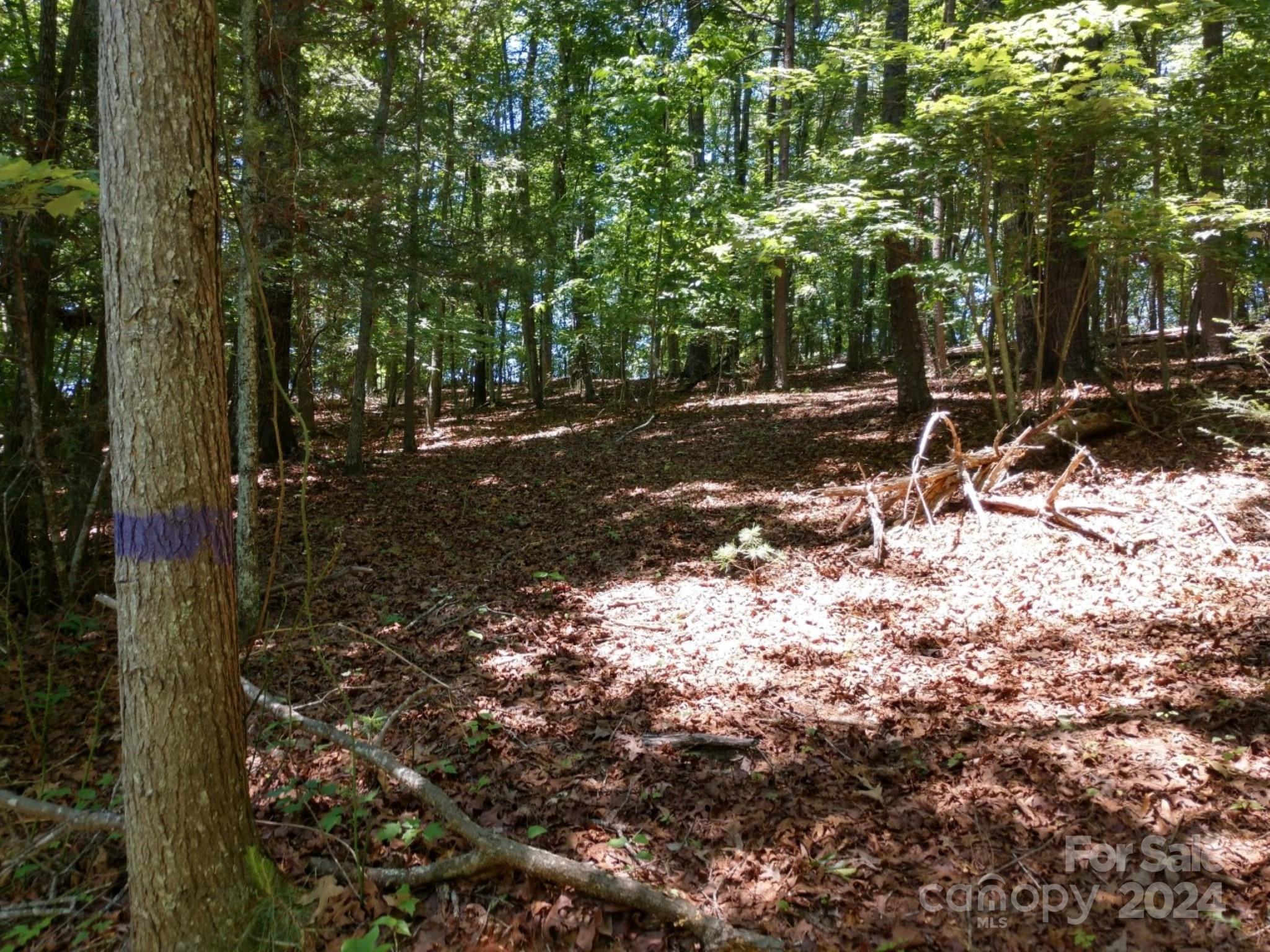 0 James View Road, Unit 1 Marion, NC 28752 - Photo 10 of 33 Gallery Image 10