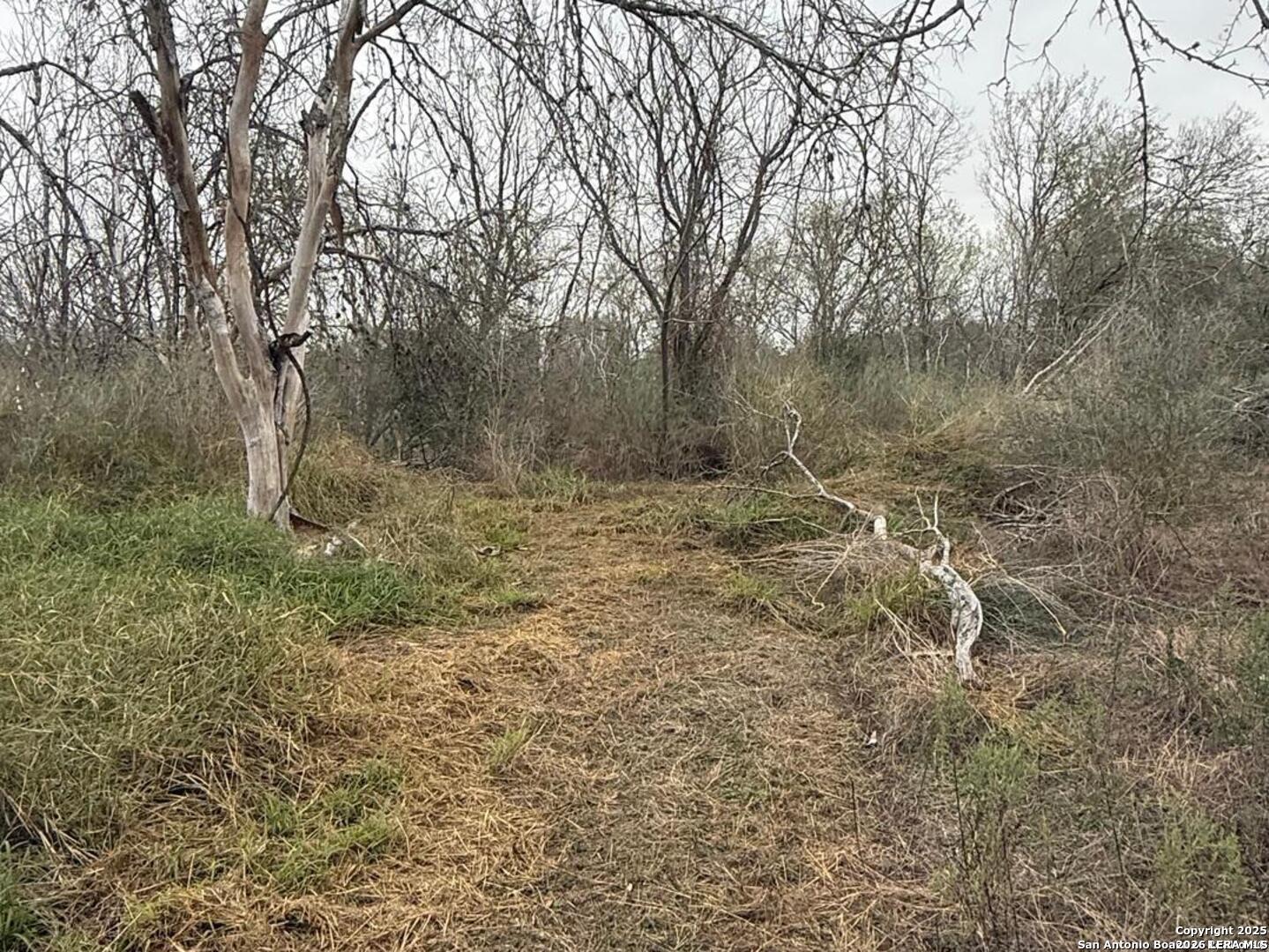 0 Gidley Road Atascosa, TX 78002 - Photo 23 of 29 Gallery Image 23