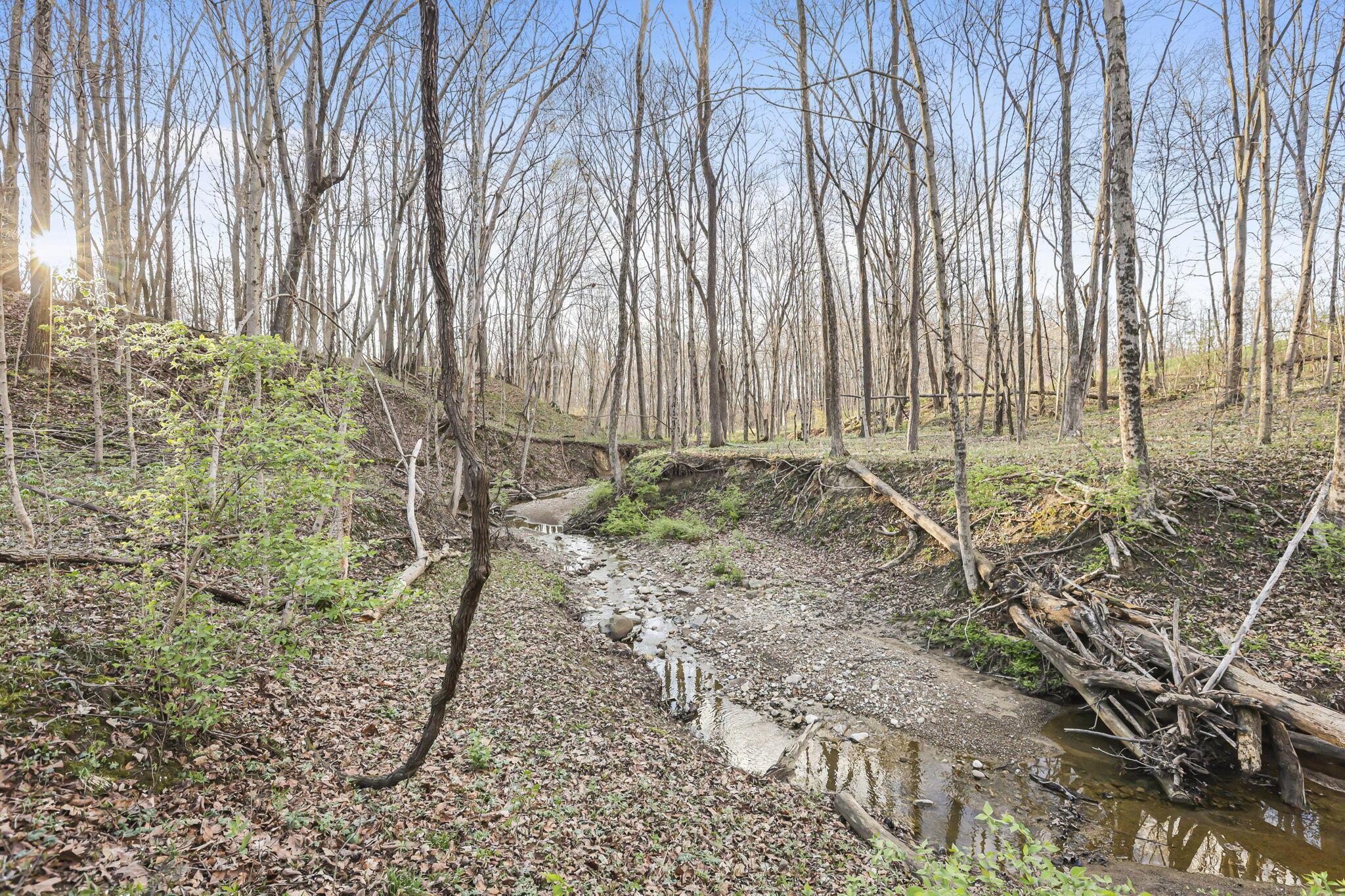 6164 Heigle Road Southwest Amanda, OH 43102 - Photo 14 of 43 6-web-or-mls-939A0158