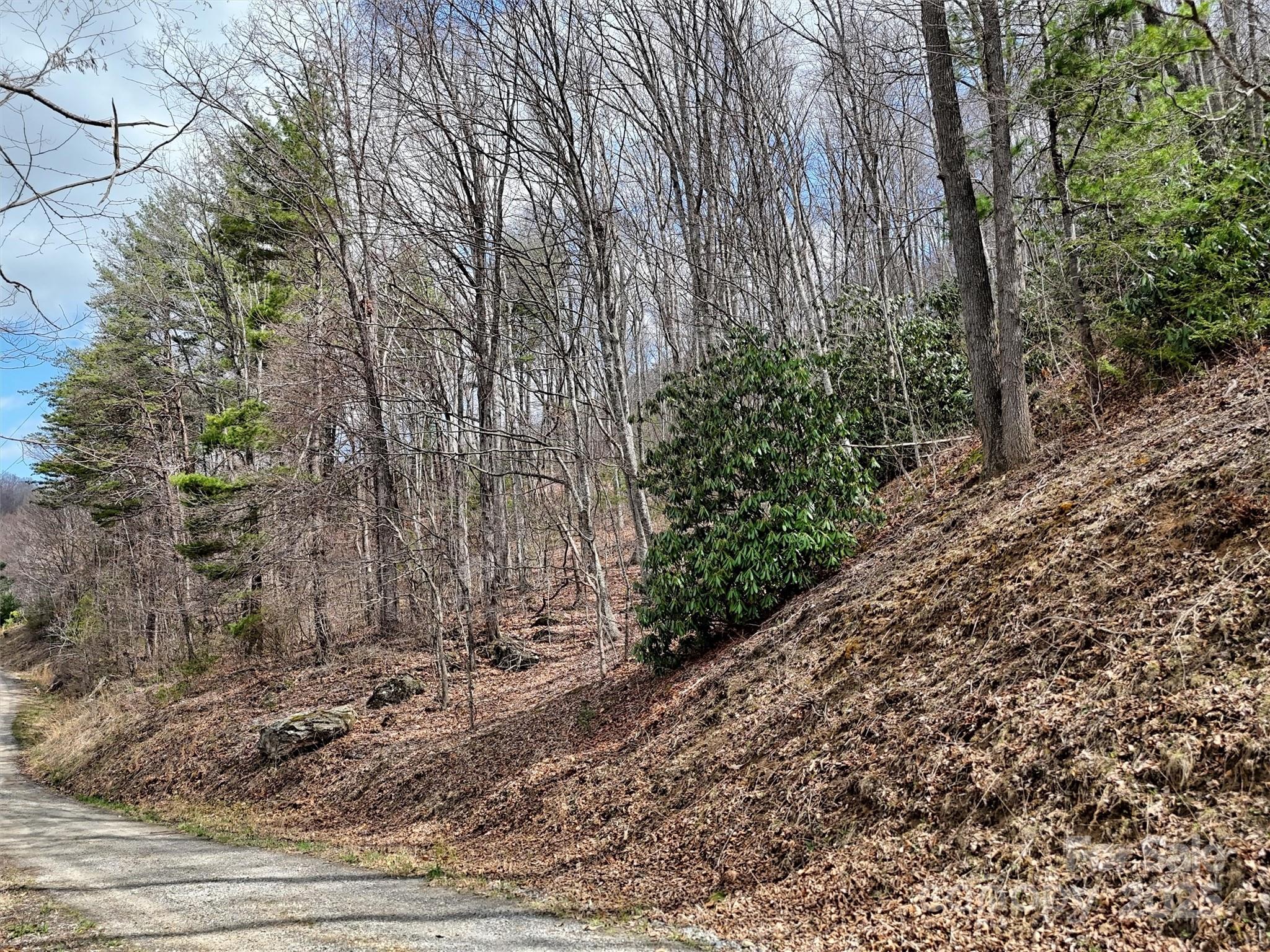Tbd Moonbeam Lane, Unit 101 & 102 Clyde, NC 28721 - Photo 11 of 20 a view of a yard with plants and trees