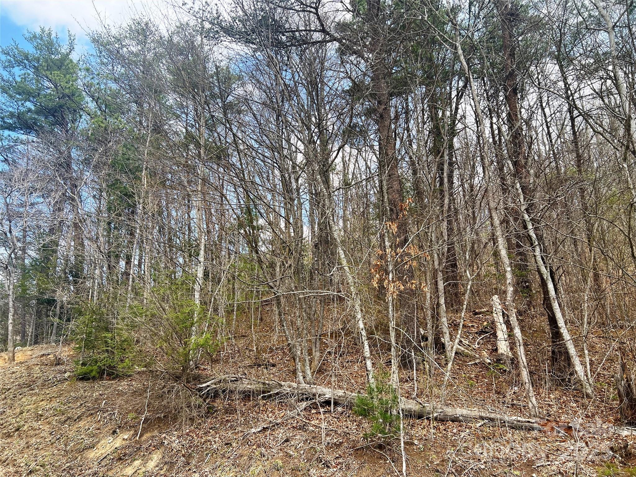 Tbd Moonbeam Lane, Unit 101 & 102 Clyde, NC 28721 - Photo 12 of 20 a backyard of a house