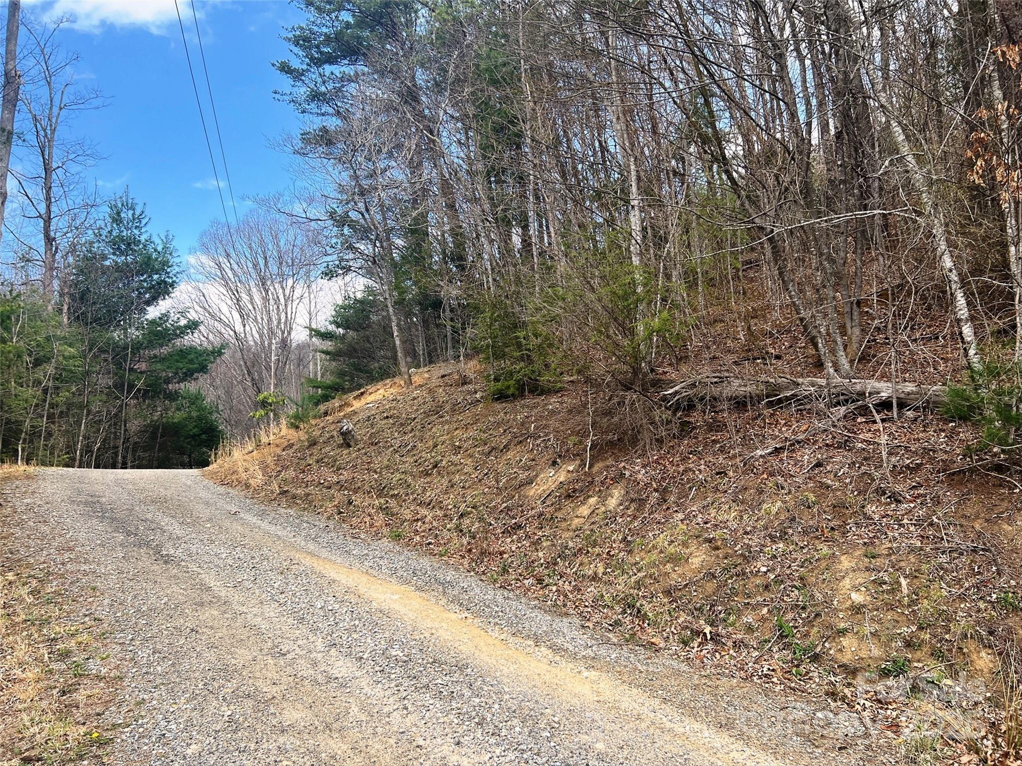 Tbd Moonbeam Lane, Unit 101 & 102 Clyde, NC 28721 - Photo 13 of 20 a view of a yard with plants and trees