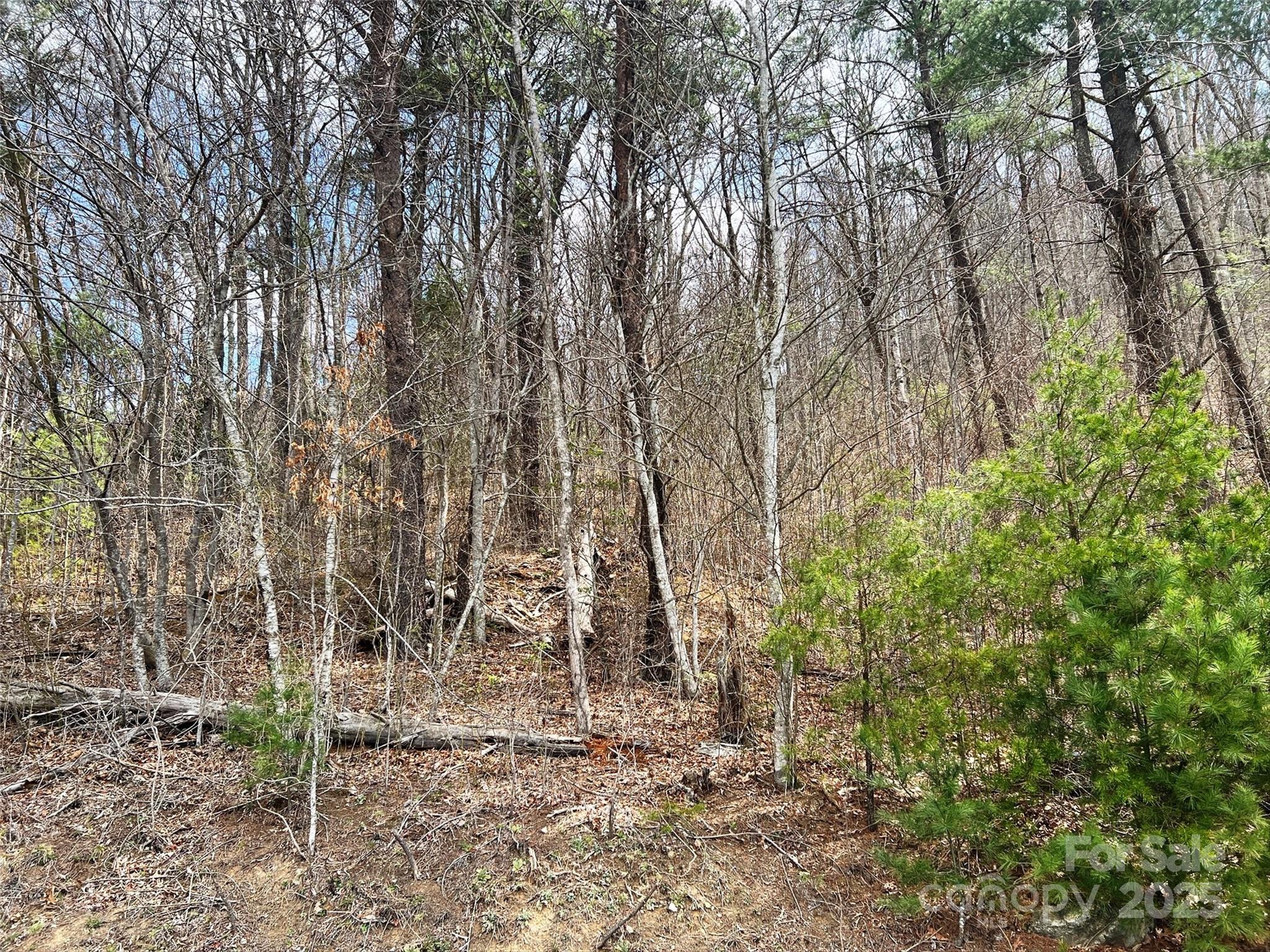Tbd Moonbeam Lane, Unit 101 & 102 Clyde, NC 28721 - Photo 16 of 20 a backyard of a house with lots of green space