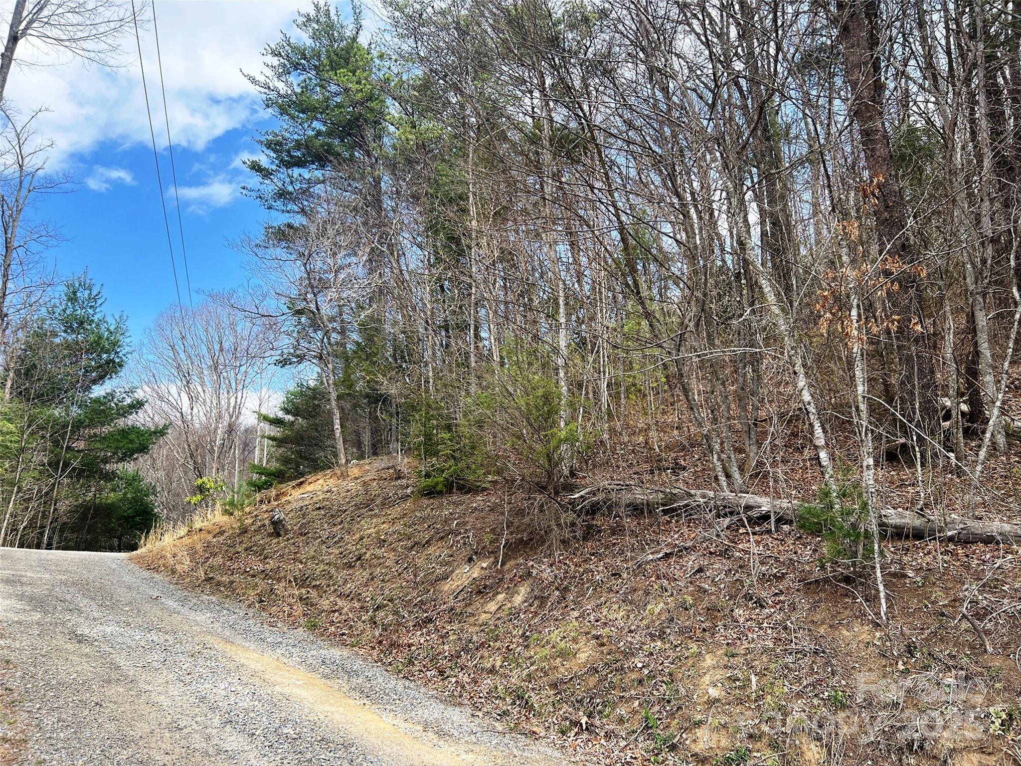 Tbd Moonbeam Lane, Unit 101 & 102 Clyde, NC 28721 - Photo 18 of 20 a view of a yard with plants and trees