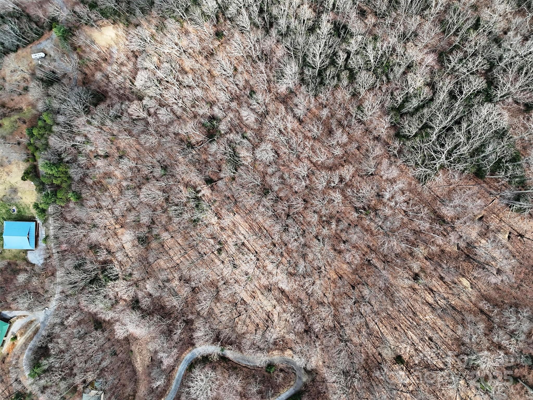 Tbd Moonbeam Lane, Unit 101 & 102 Clyde, NC 28721 - Photo 19 of 20