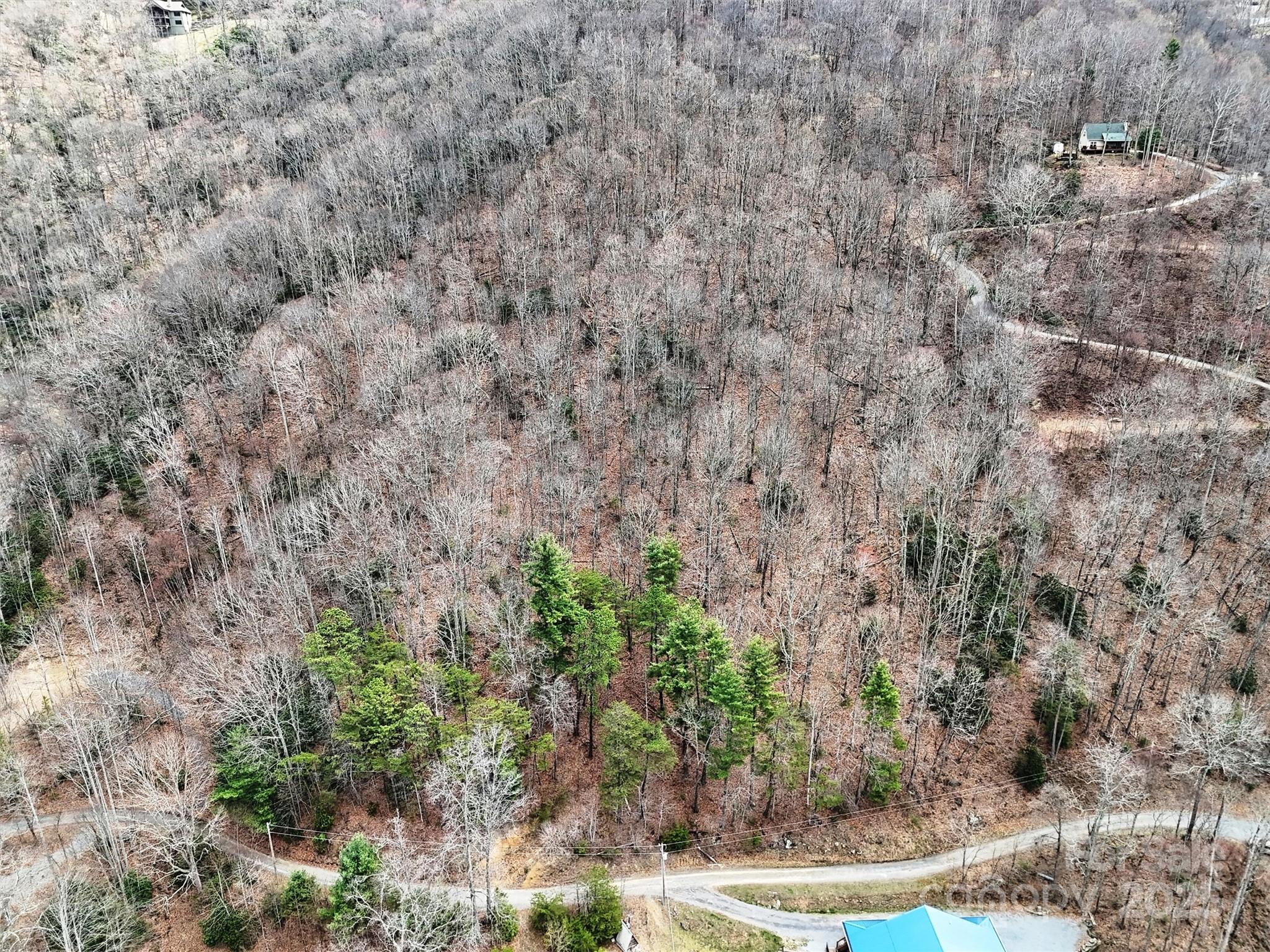 Tbd Moonbeam Lane, Unit 101 & 102 Clyde, NC 28721 - Photo 6 of 20 a view of a yard