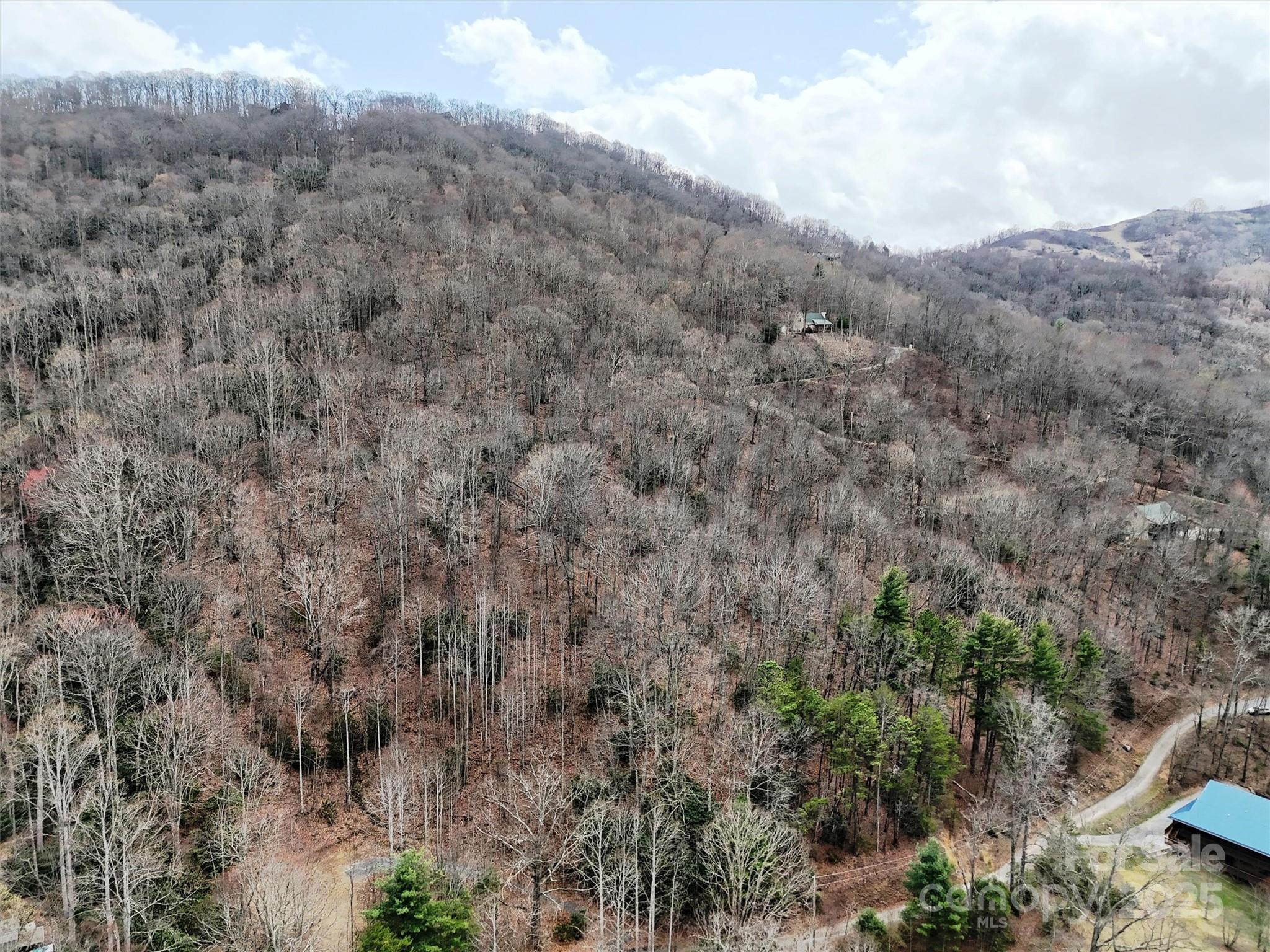 Tbd Moonbeam Lane, Unit 101 & 102 Clyde, NC 28721 - Photo 7 of 20 a view of a covered with trees in the background