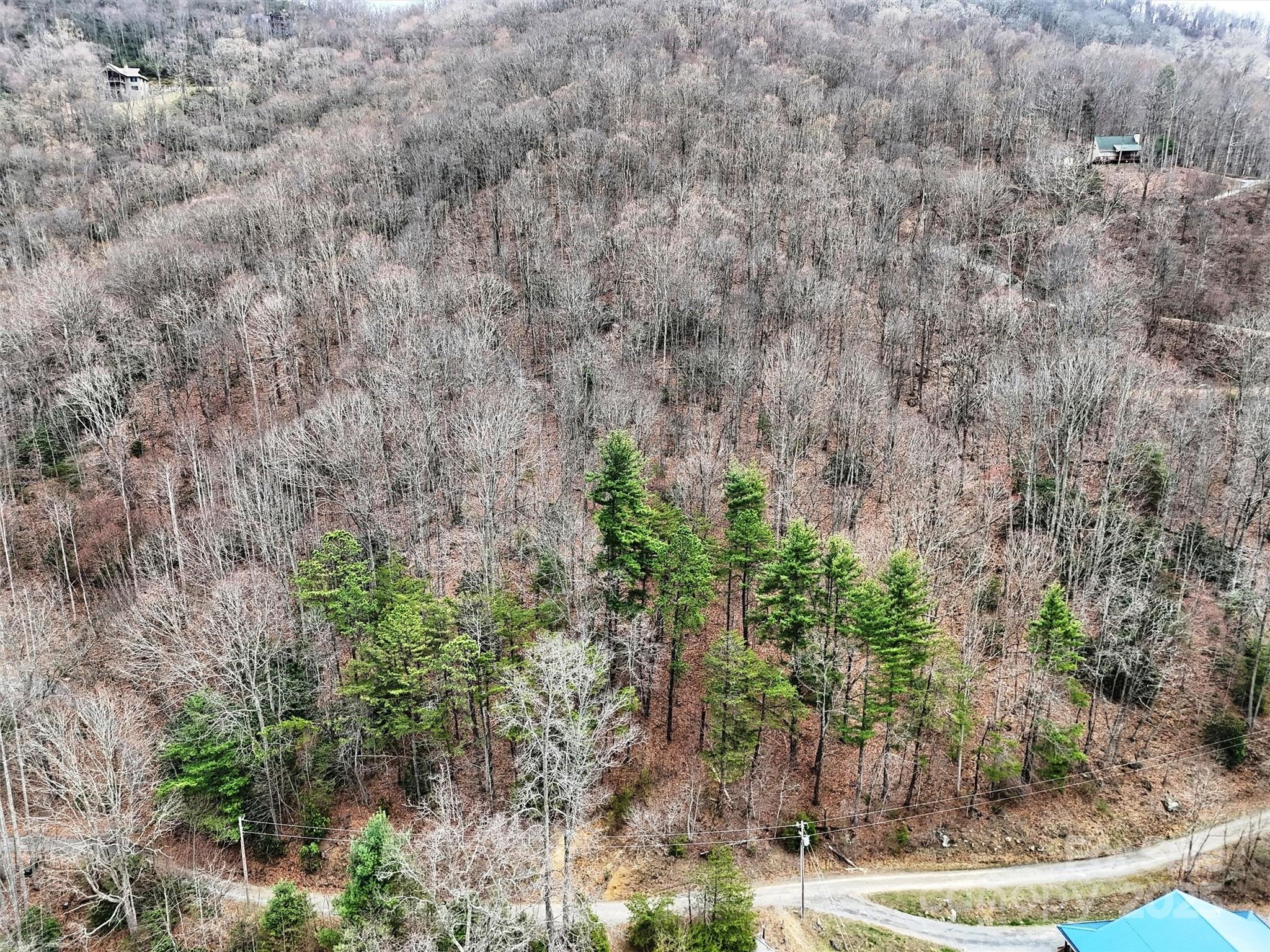 Tbd Moonbeam Lane, Unit 101 & 102 Clyde, NC 28721 - Photo 8 of 20 a view of a yard