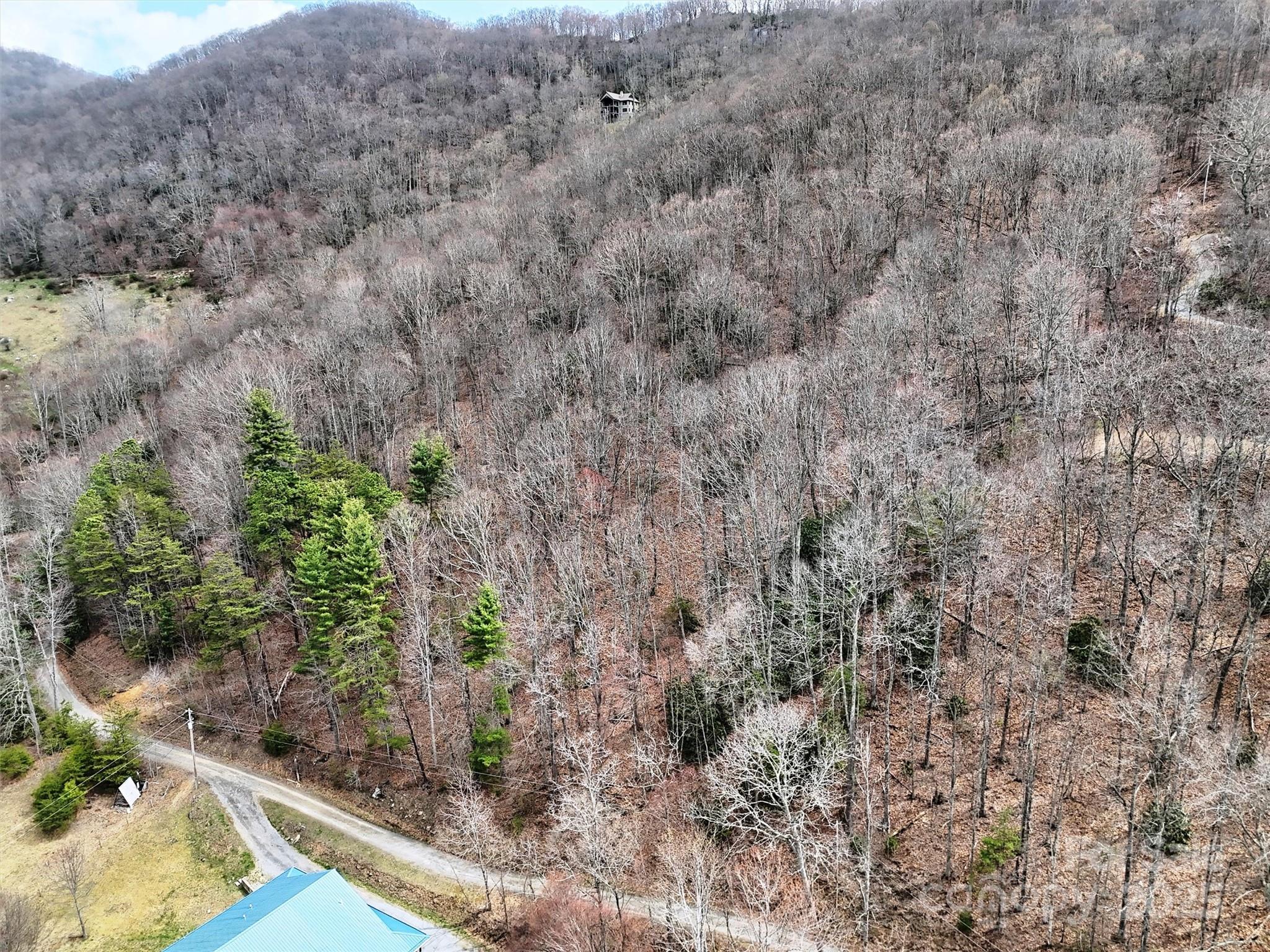 Tbd Moonbeam Lane, Unit 101 & 102 Clyde, NC 28721 - Photo 9 of 20 a view of a yard with plants