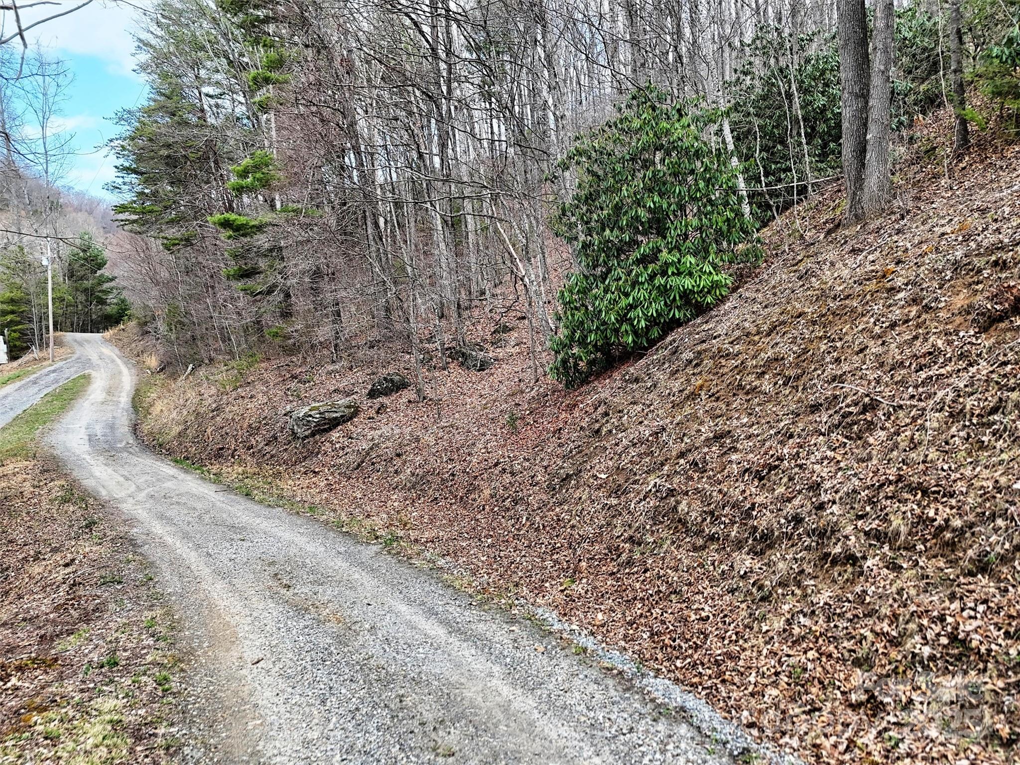 Tbd Moonbeam Lane, Unit 101 & 102 Clyde, NC 28721 - Photo 10 of 20 a view of a yard with plants and trees
