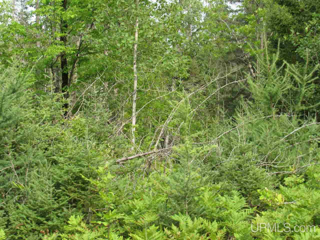 M69 And Shiversky Road Perronville, MI 49873 - Photo 6 of 16