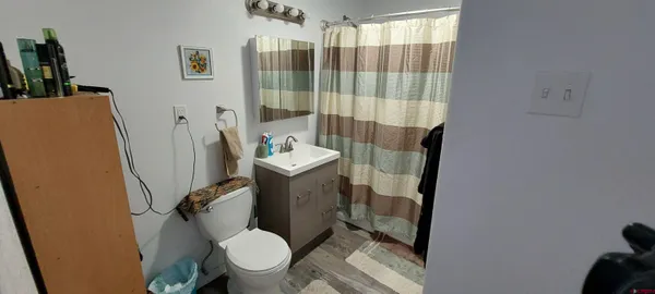a bathroom with a shower and a toilet