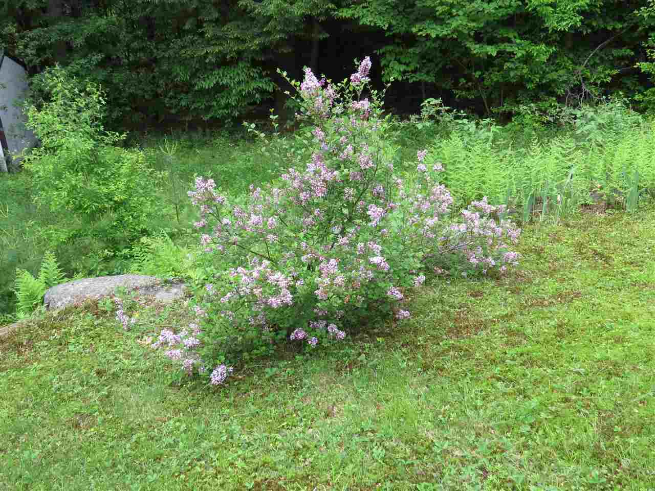 69 Peterborough Road Hancock, NH 03449 - Photo 28 of 28