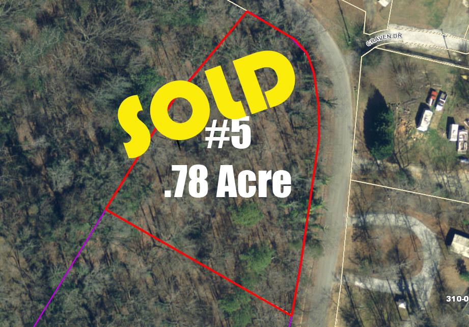 0 Cunningham Slough Road Waterloo, SC 29384 - Photo 16 of 31
