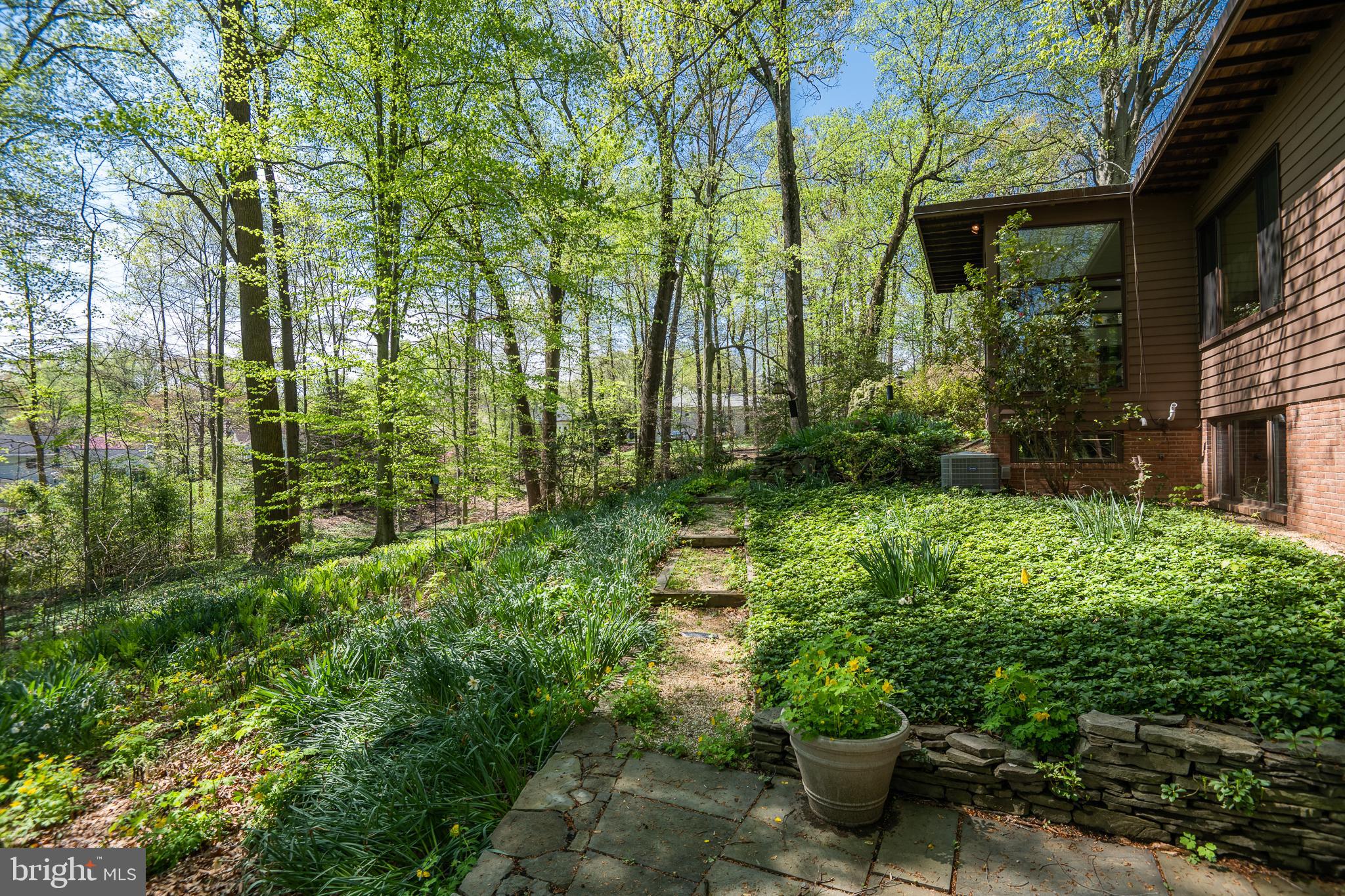 1717 Briar Ridge Road McLean, VA 22101 - Photo 4 of 39