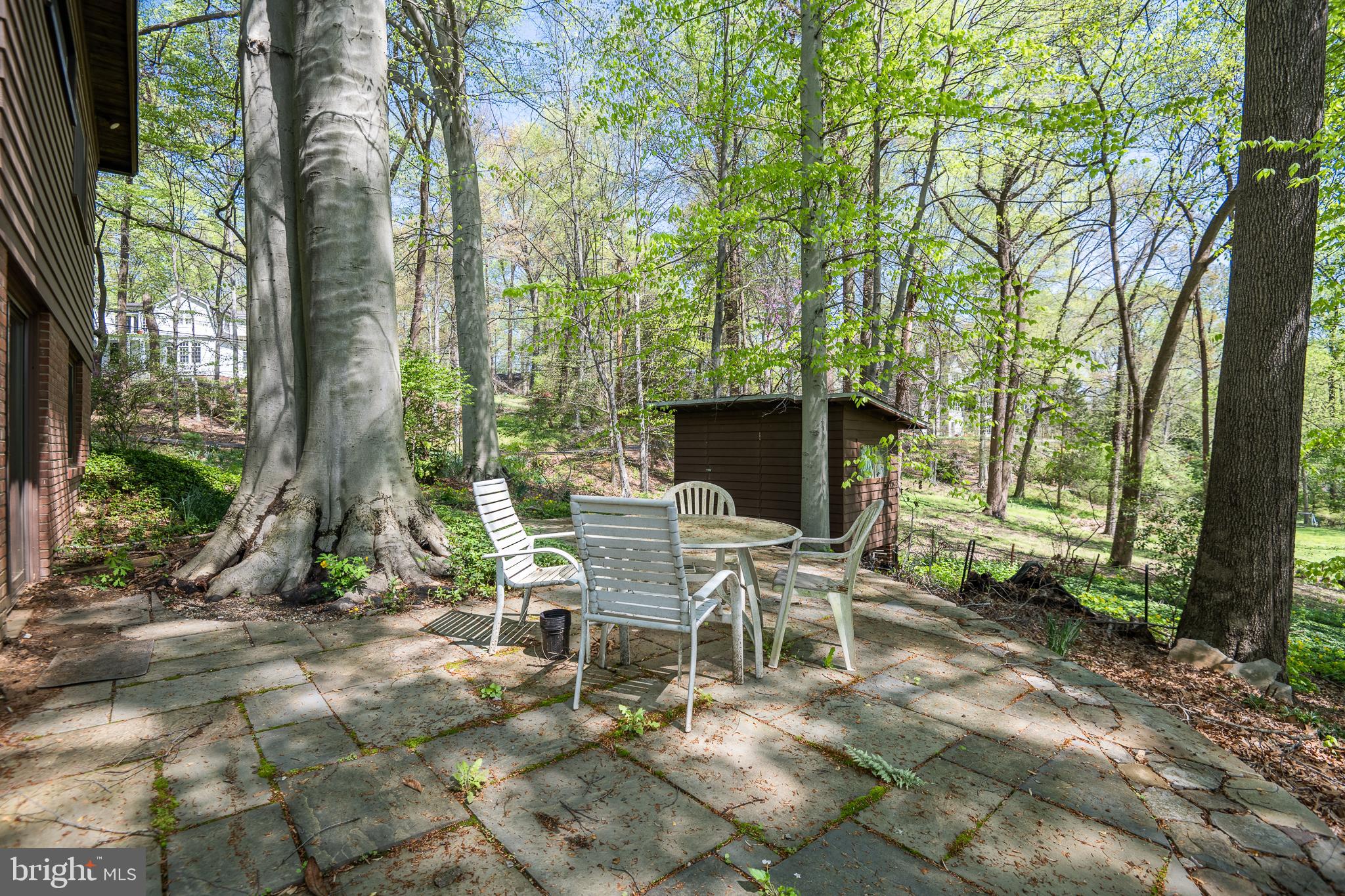 1717 Briar Ridge Road McLean, VA 22101 - Photo 35 of 39