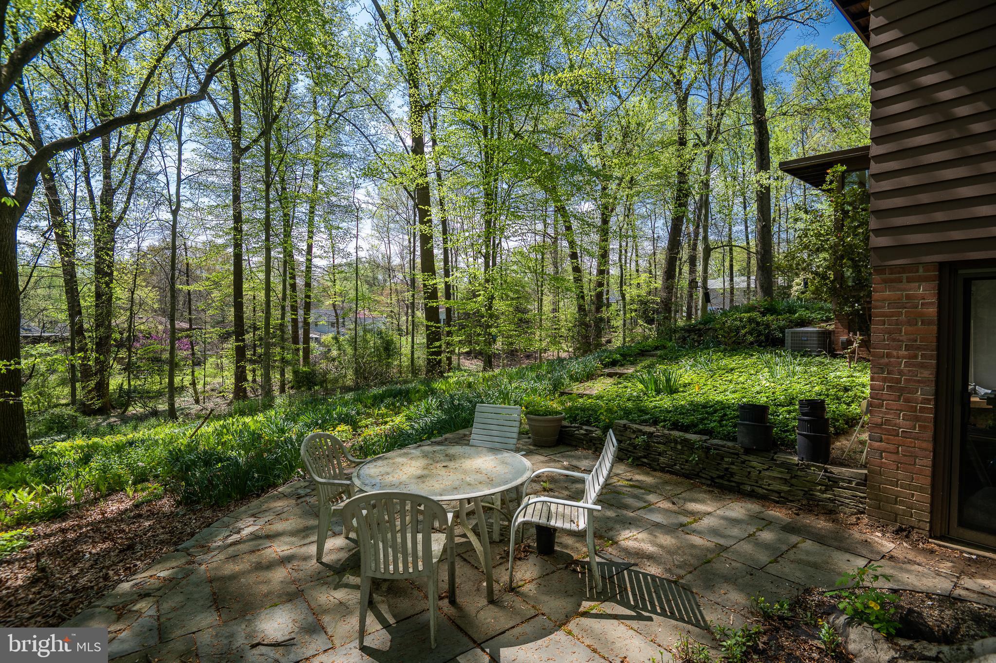 1717 Briar Ridge Road McLean, VA 22101 - Photo 36 of 39