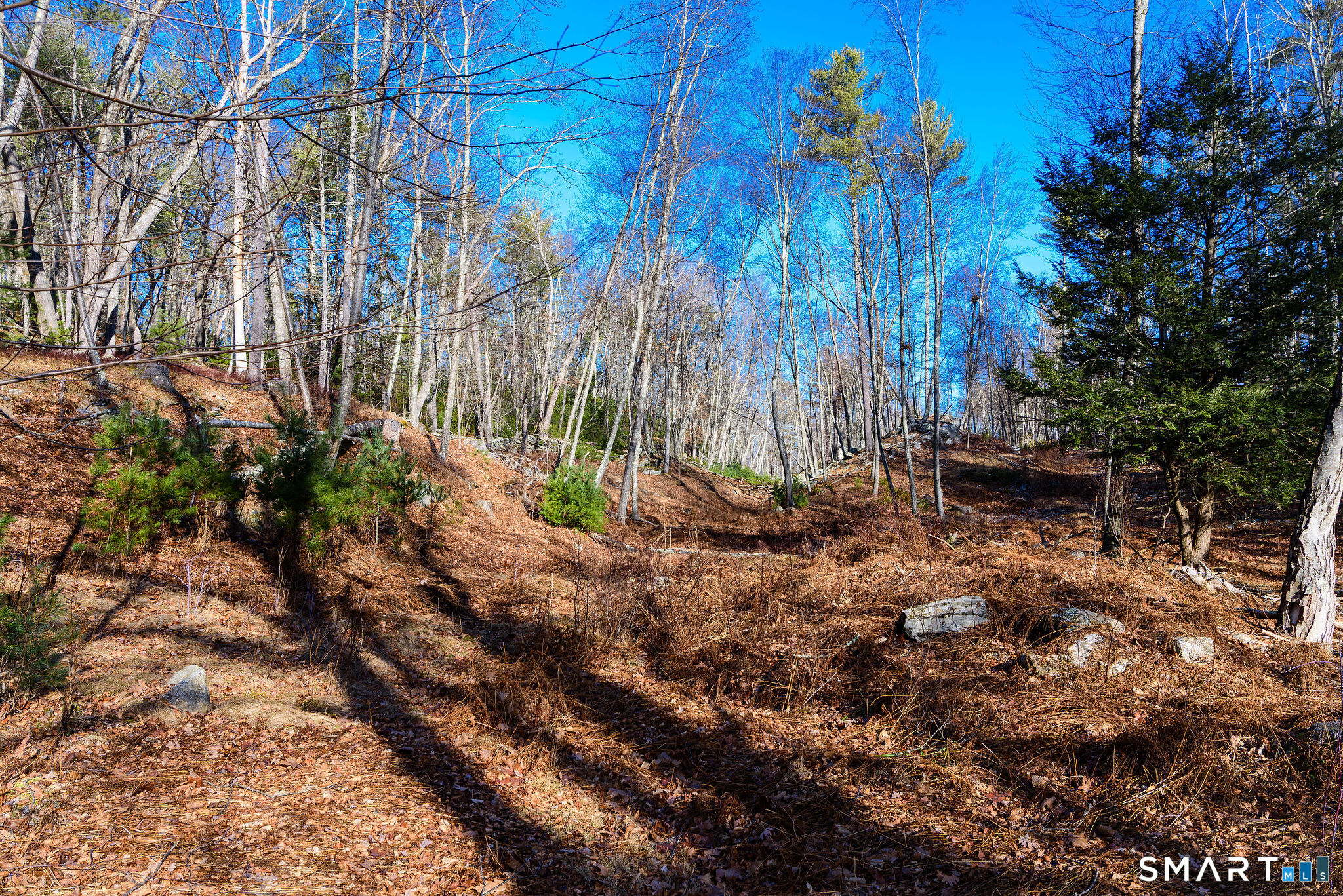 73 Mountain Hill Road North Grosvenordale, CT 06255 - Photo 38 of 40