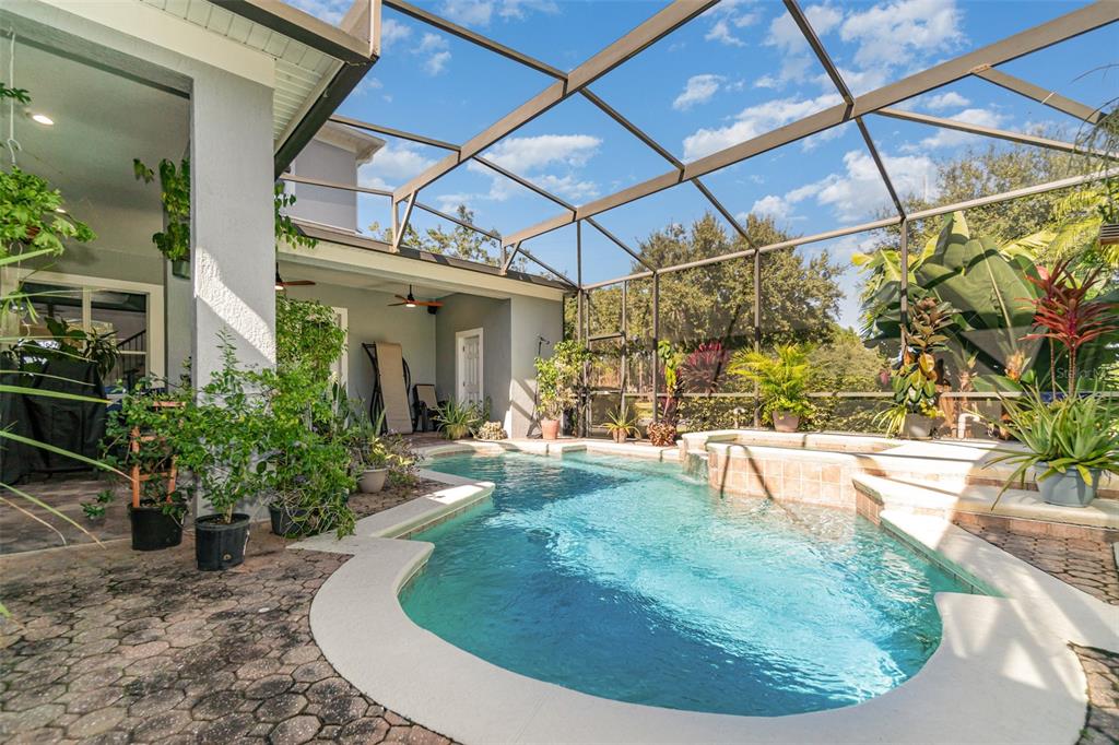 6905 Nobleton Drive Windermere, FL 34786 - Photo 34 of 41 a view of a swimming pool