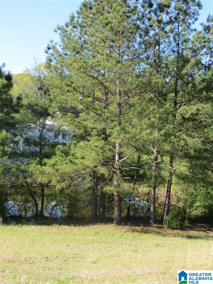 0 Eureka Road, Unit 7 Lincoln, AL 35096 - Photo 33 of 34
